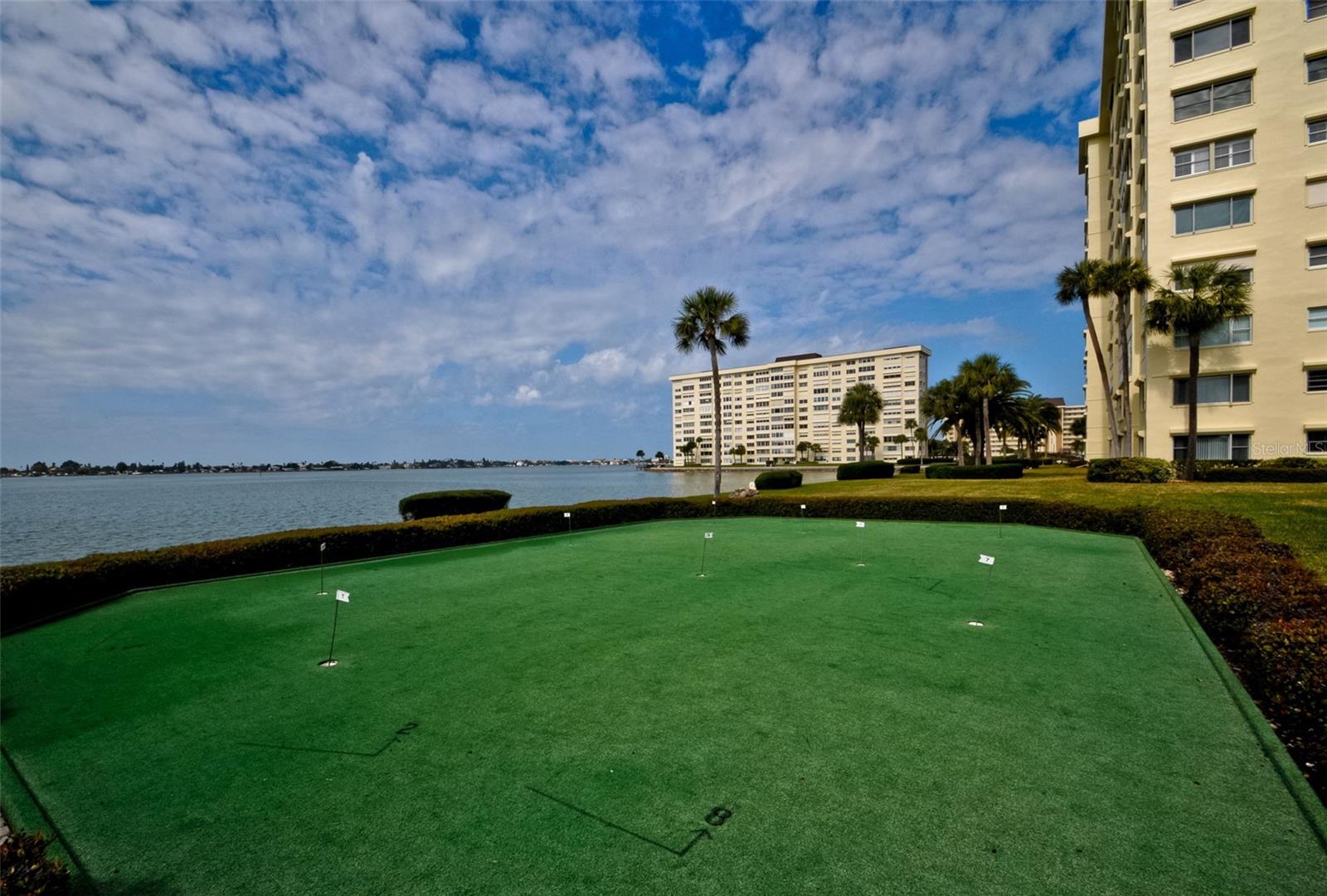 4525 COVE CIR #1207, ST PETERSBURG, FL, 33708