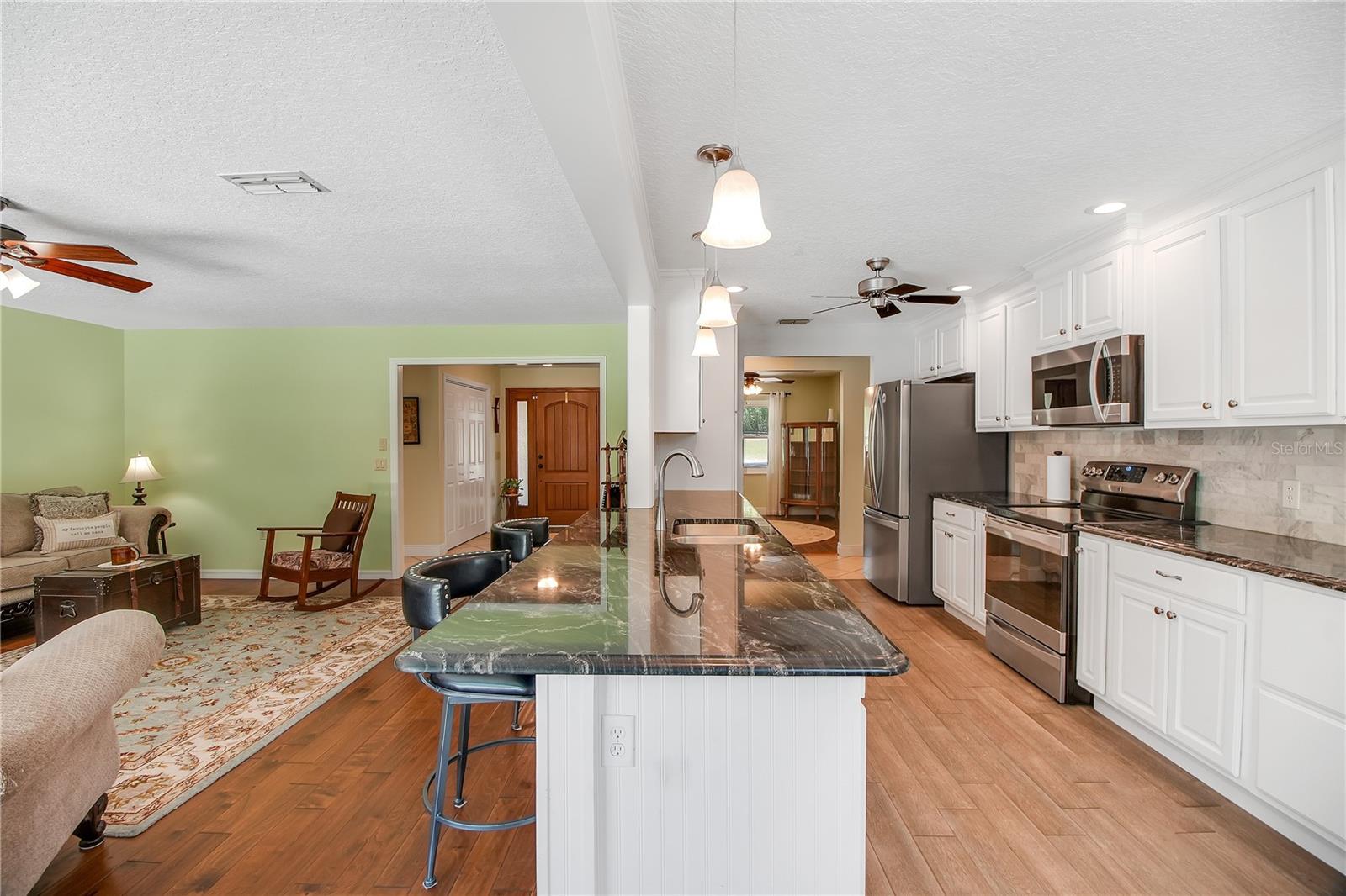 17373 SE 130TH AVE, WEIRSDALE, FL, 32195