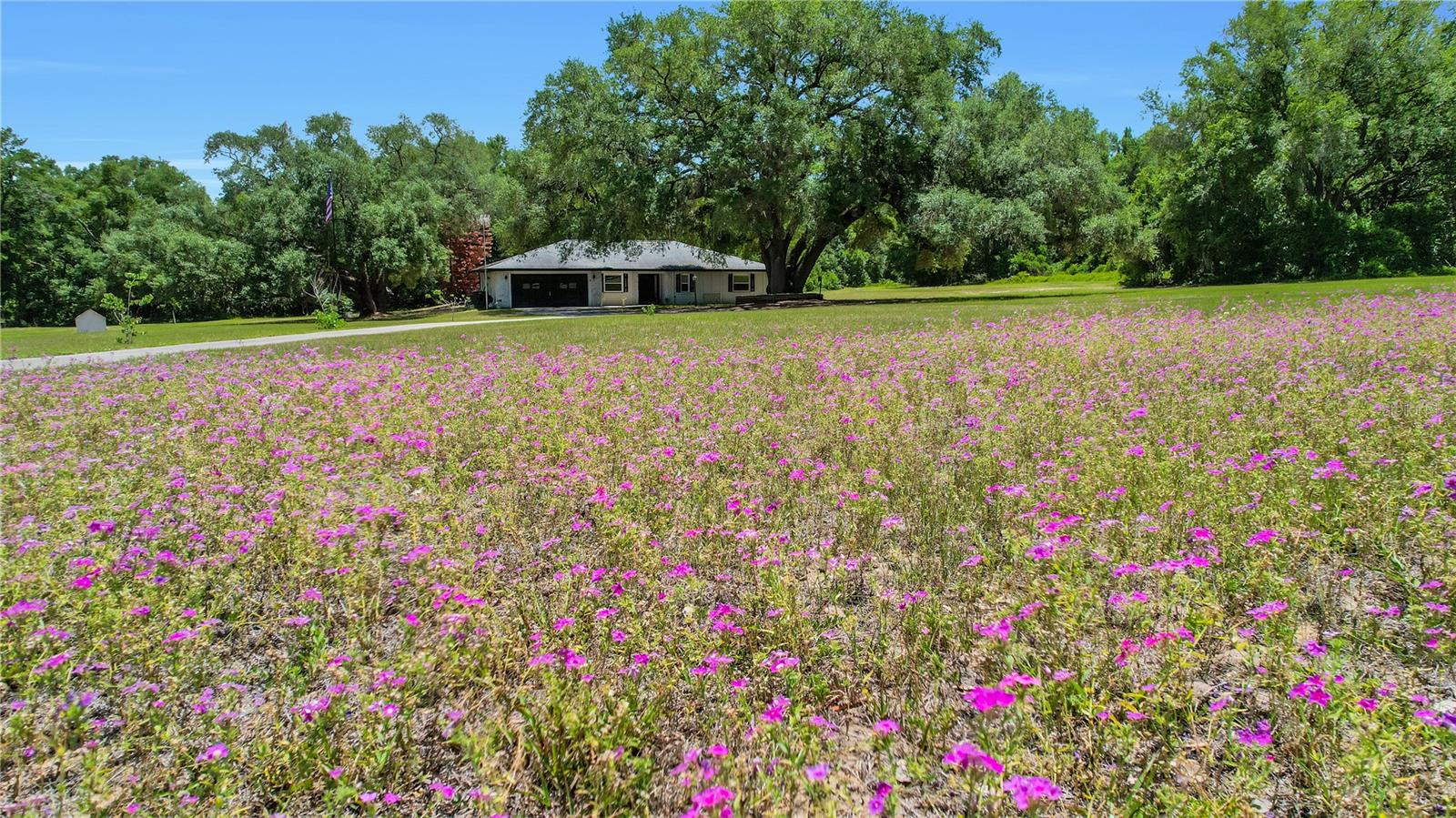17373 SE 130TH AVE, WEIRSDALE, FL, 32195