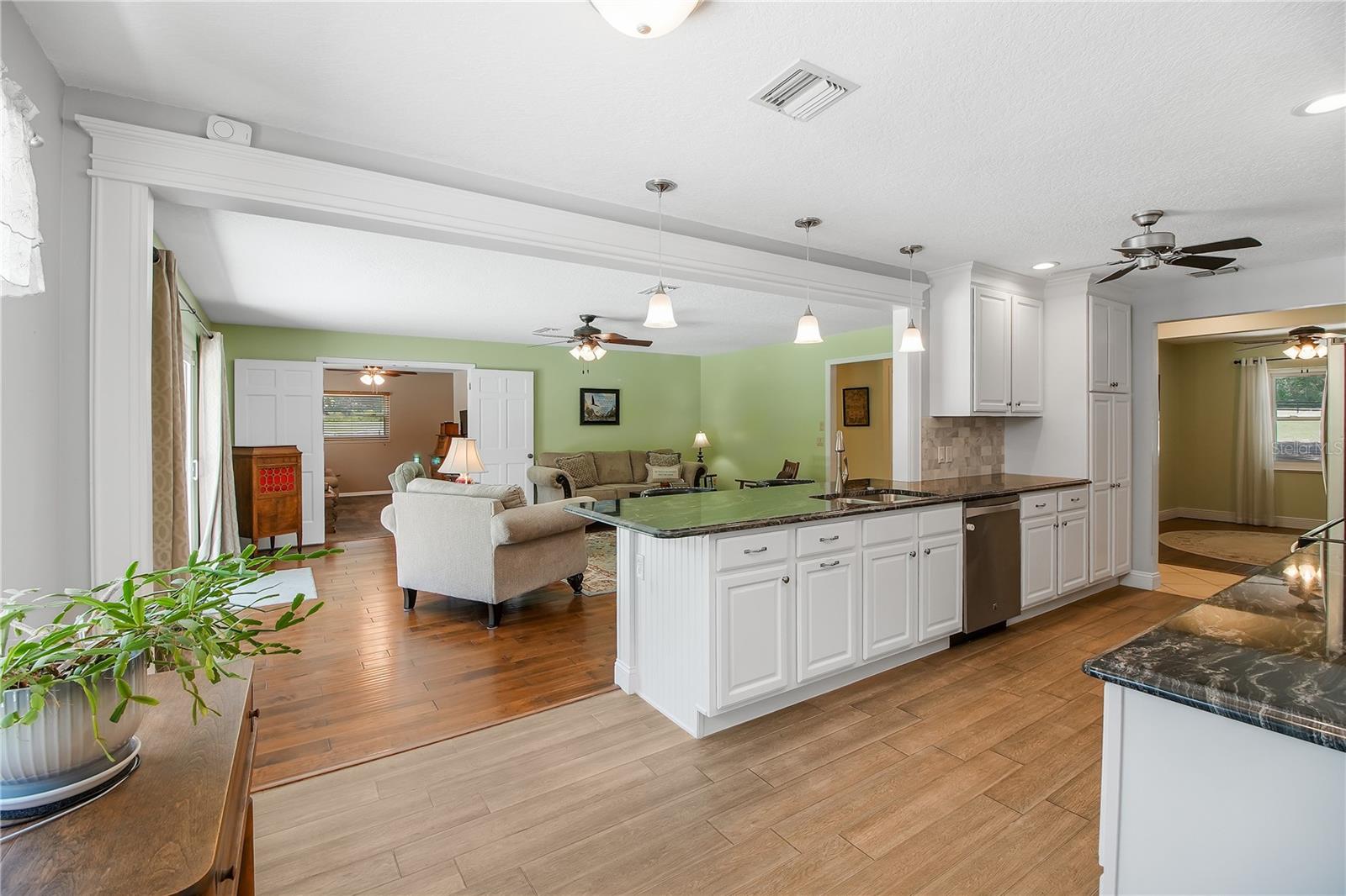 17373 SE 130TH AVE, WEIRSDALE, FL, 32195