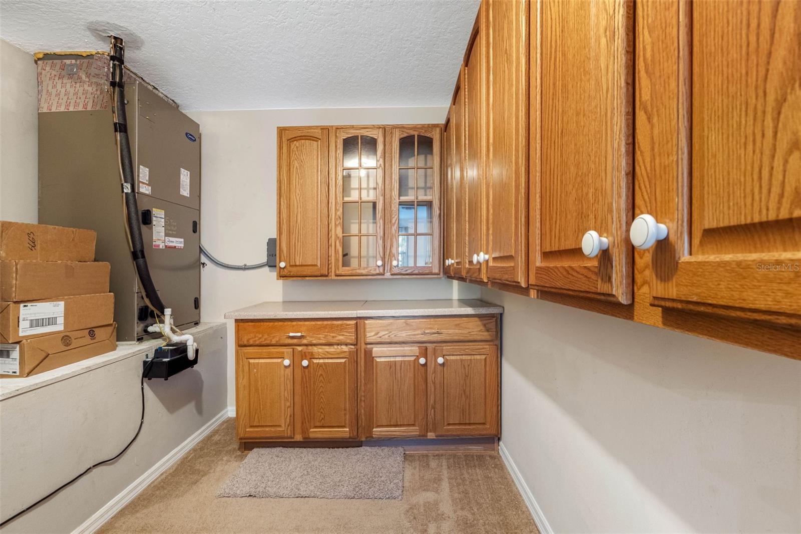 21107 BIRCHOLM CT, LAND O LAKES, FL, 34637