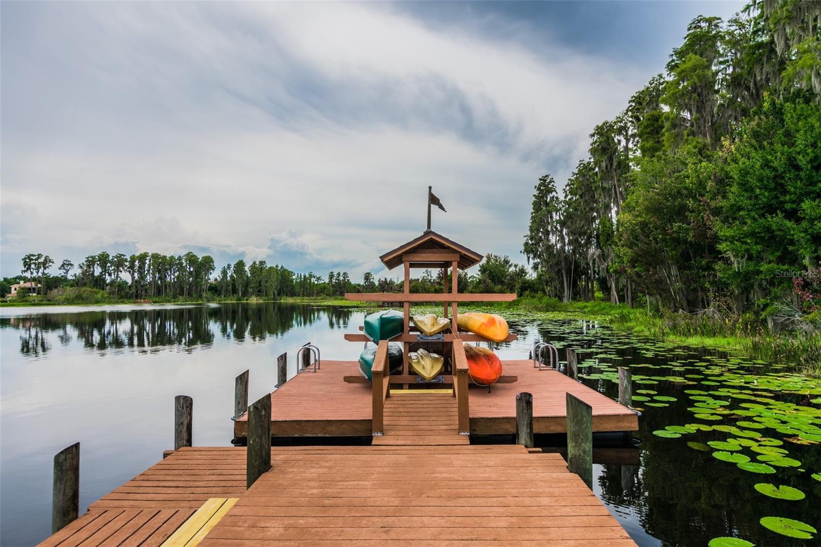 21107 BIRCHOLM CT, LAND O LAKES, FL, 34637