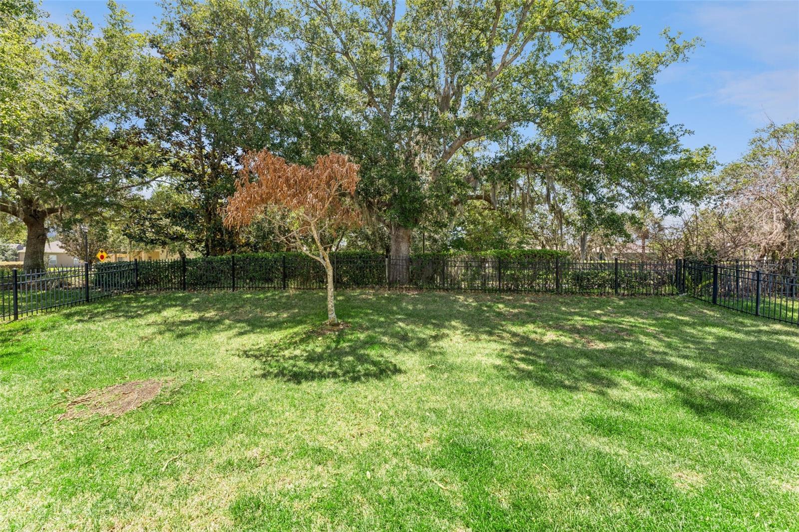 10125 SANDY MARSH LN, ORLANDO, FL, 32832