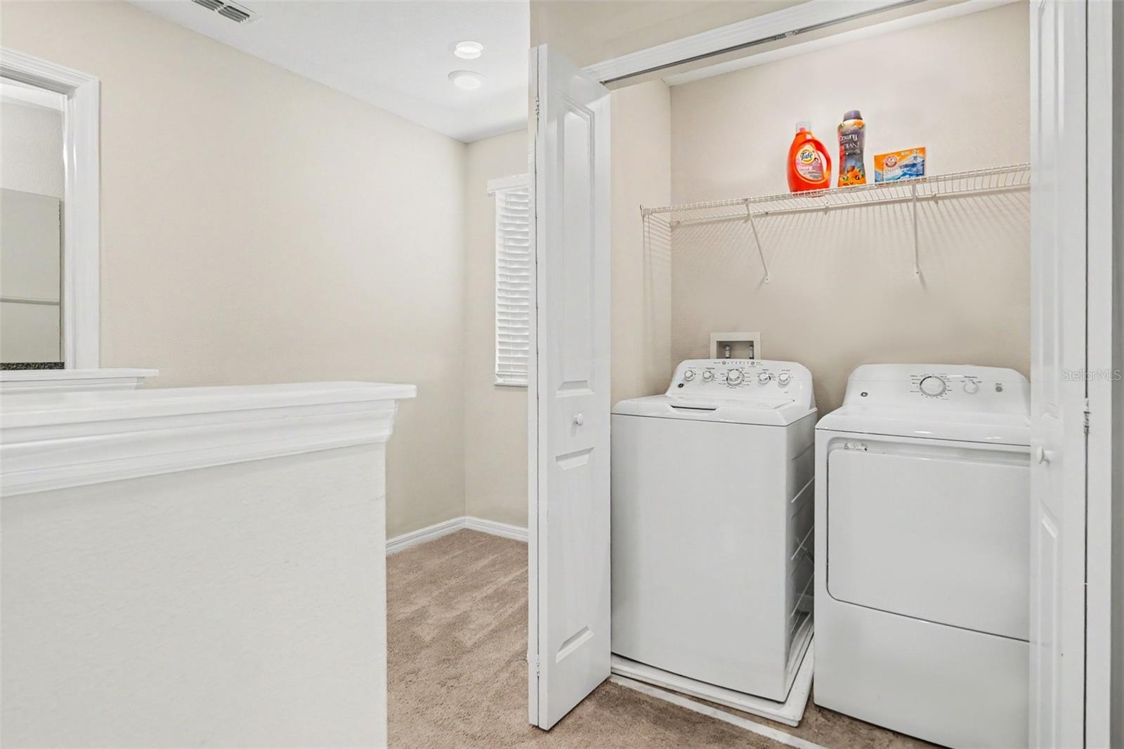 7421 FRENCH MARIGOLD AVE, TAMPA, FL, 33619