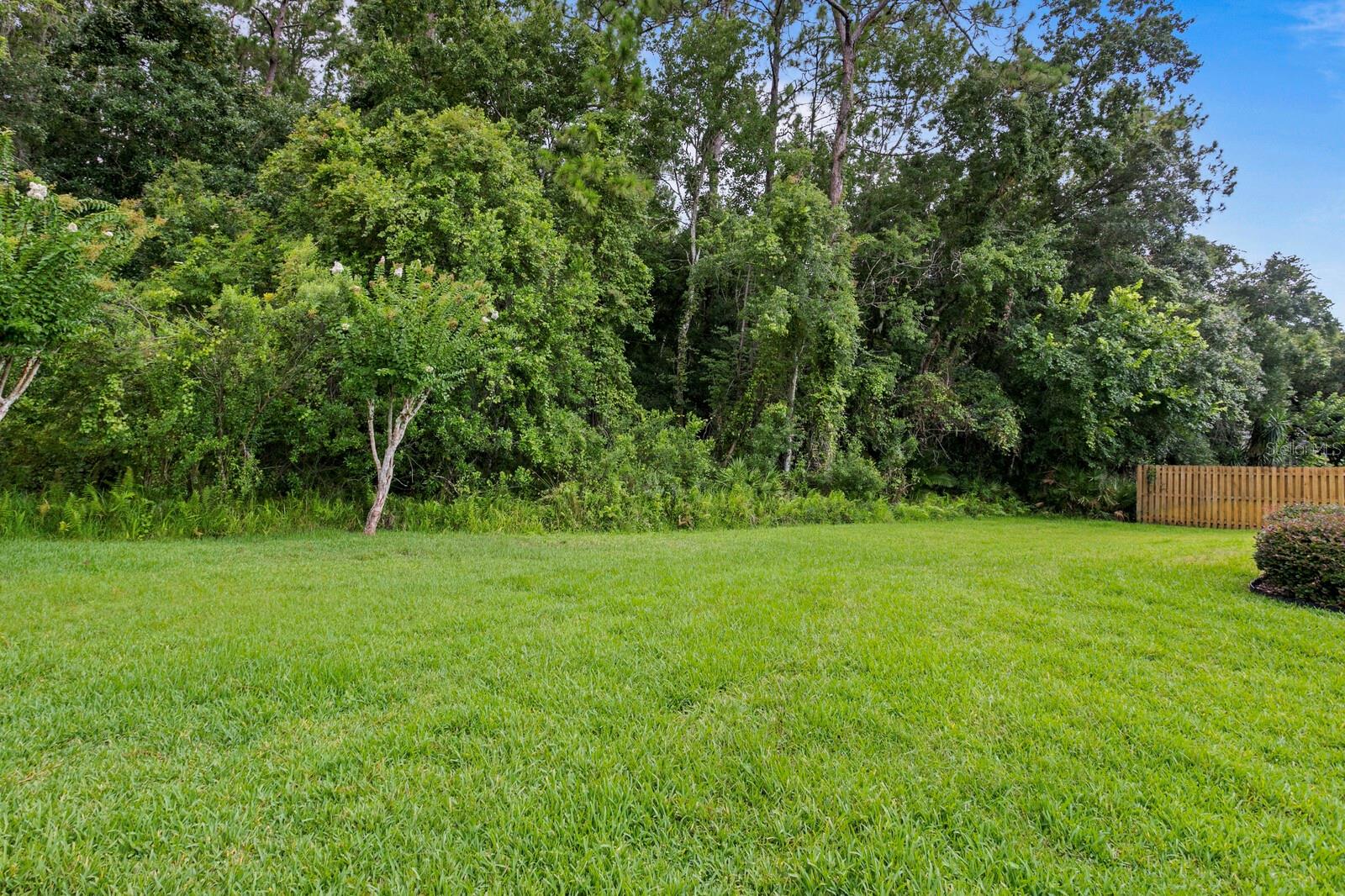 14511 CORKWOOD DR, TAMPA, FL, 33626
