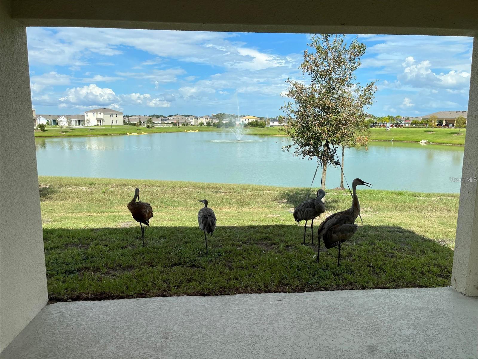 1548 CATBRIAR WAY, DAVENPORT, FL, 33837