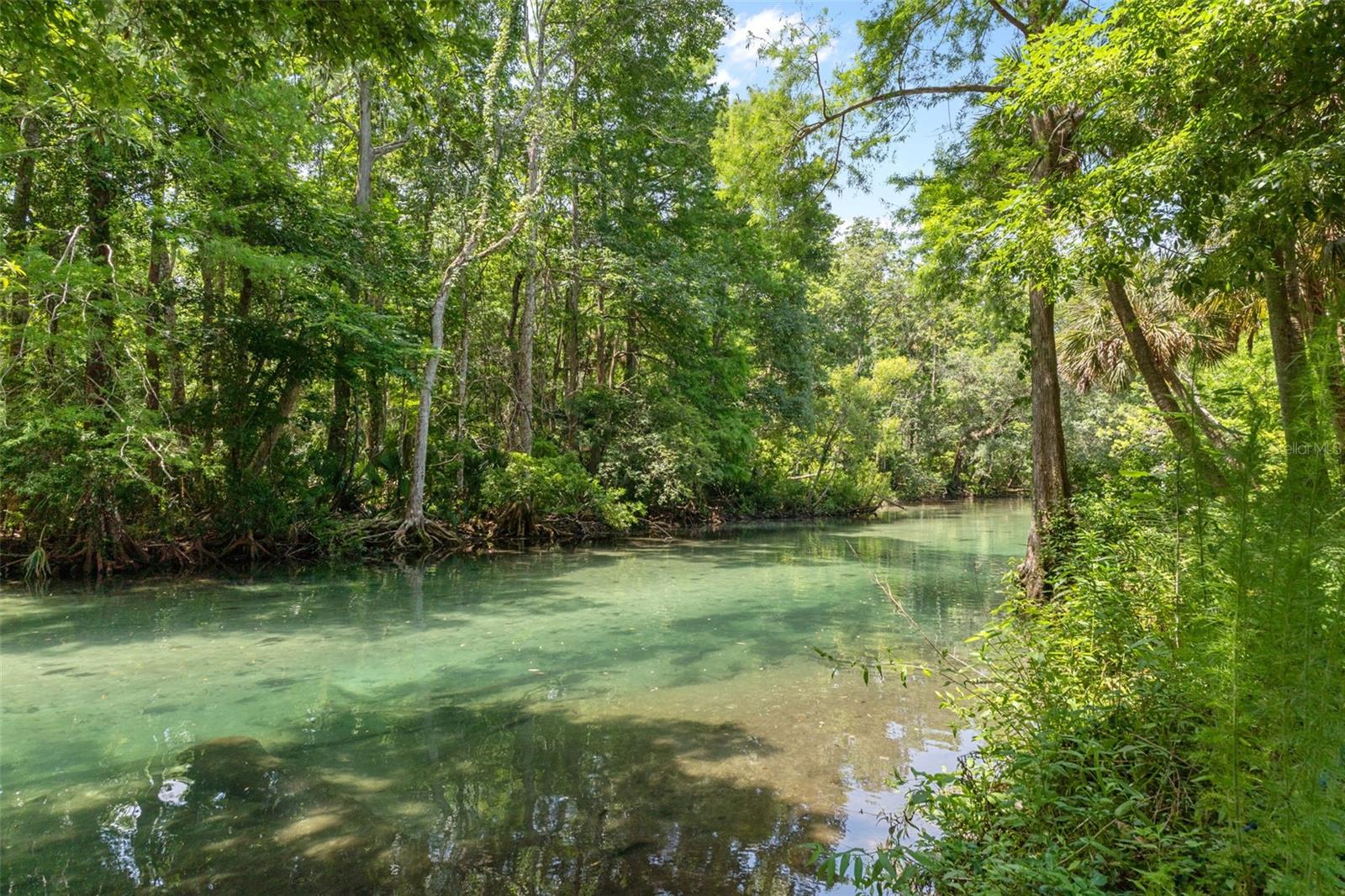 6762 E RICHARD DR, WEEKI WACHEE, FL, 34607