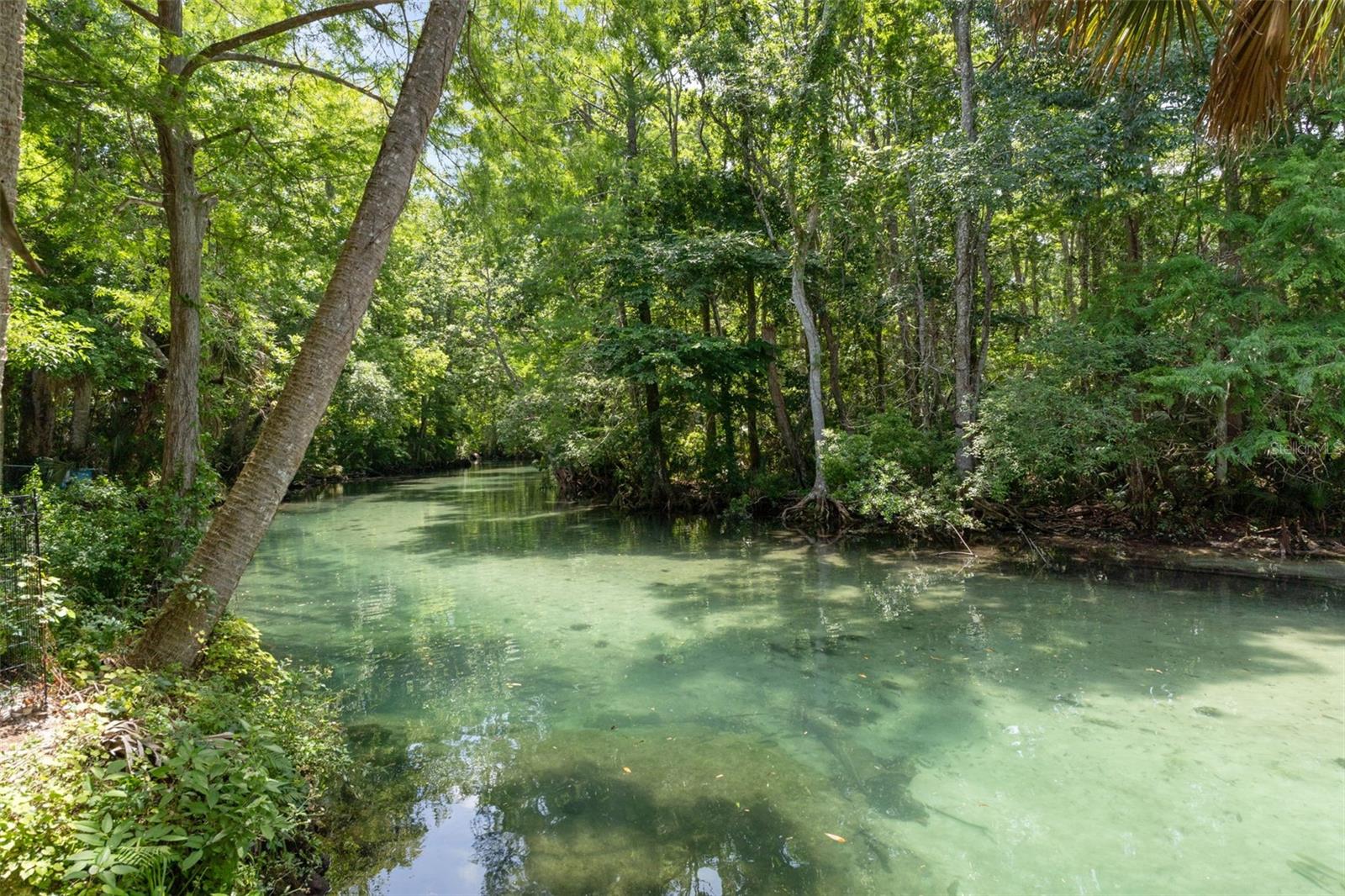 6762 E RICHARD DR, WEEKI WACHEE, FL, 34607
