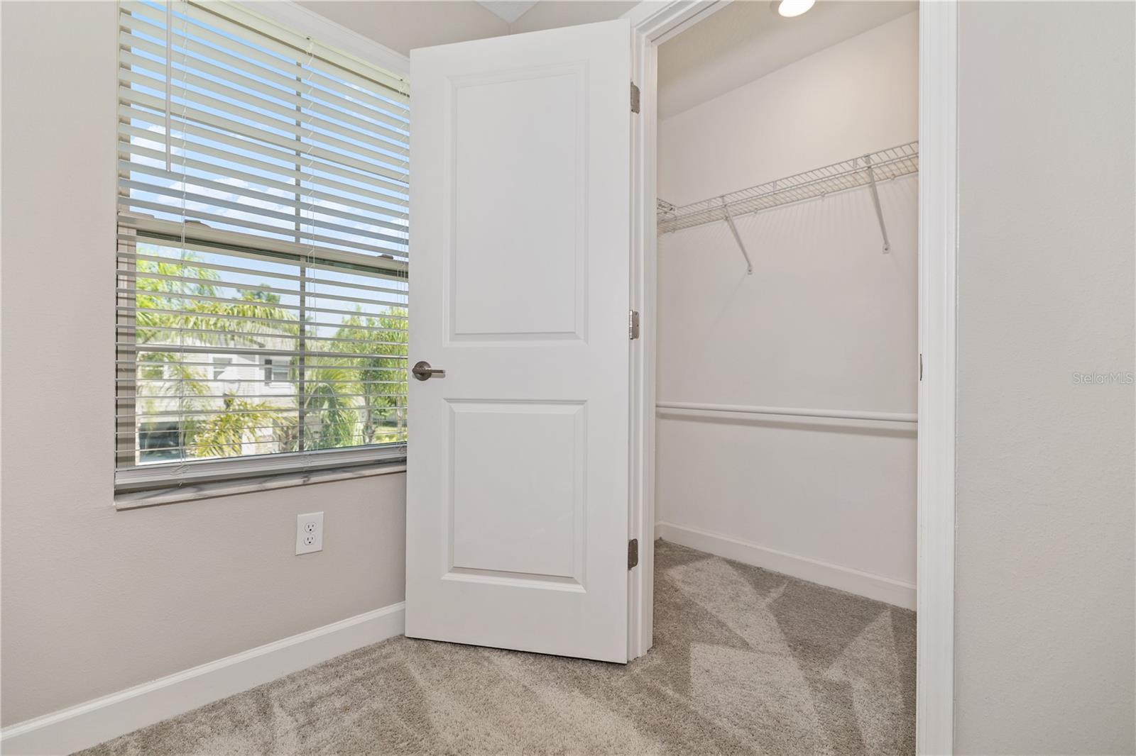1295 WHITE FOX RUN, LUTZ, FL, 33549