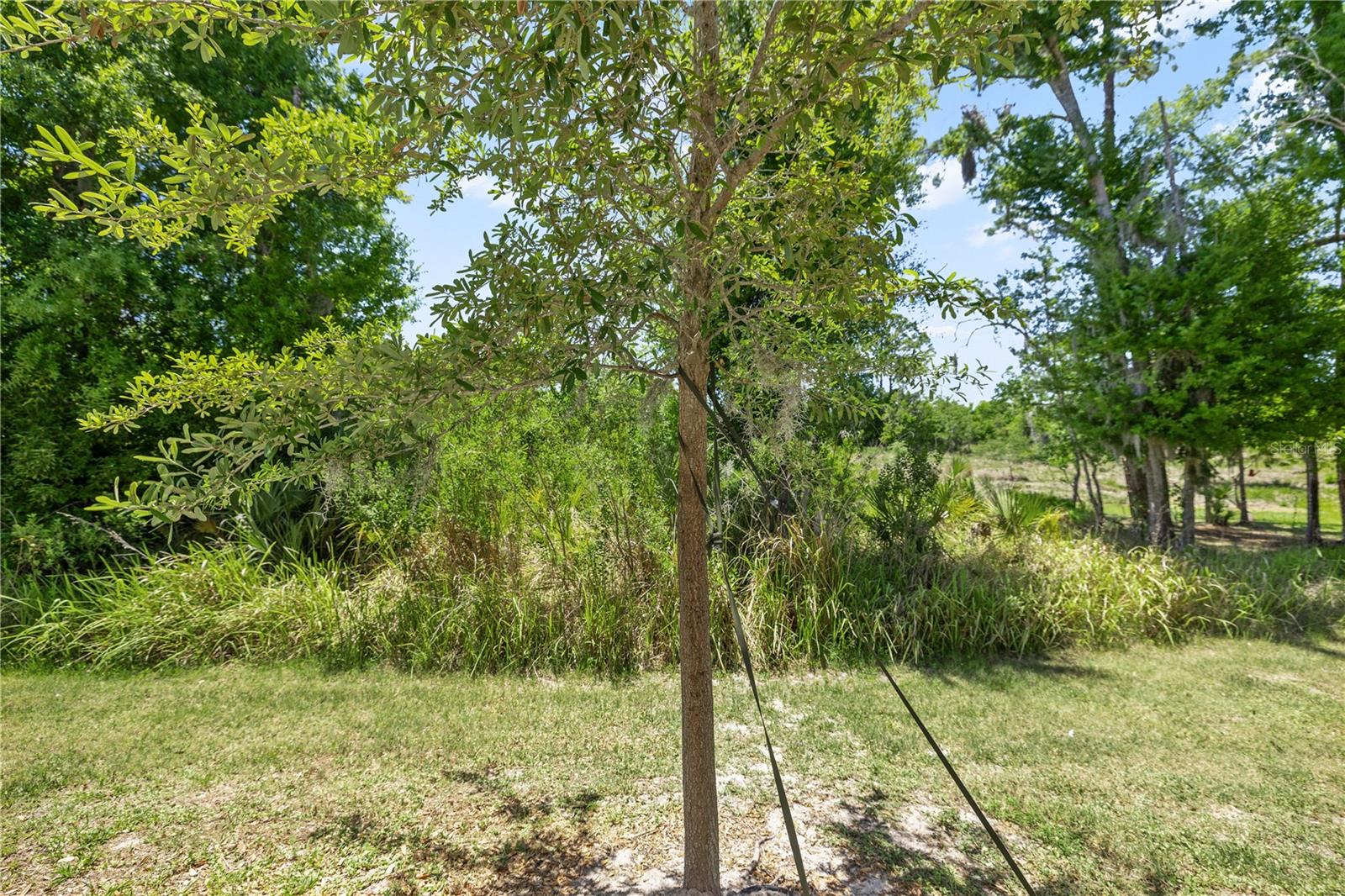 1295 WHITE FOX RUN, LUTZ, FL, 33549