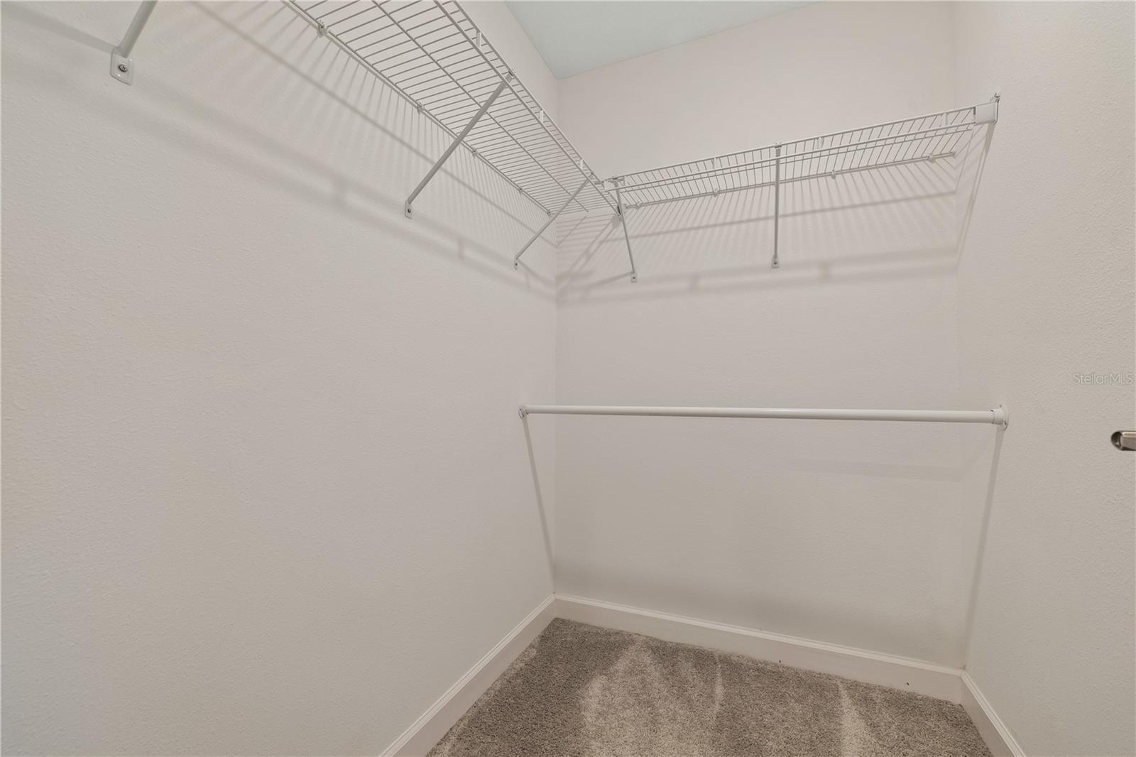 1295 WHITE FOX RUN, LUTZ, FL, 33549