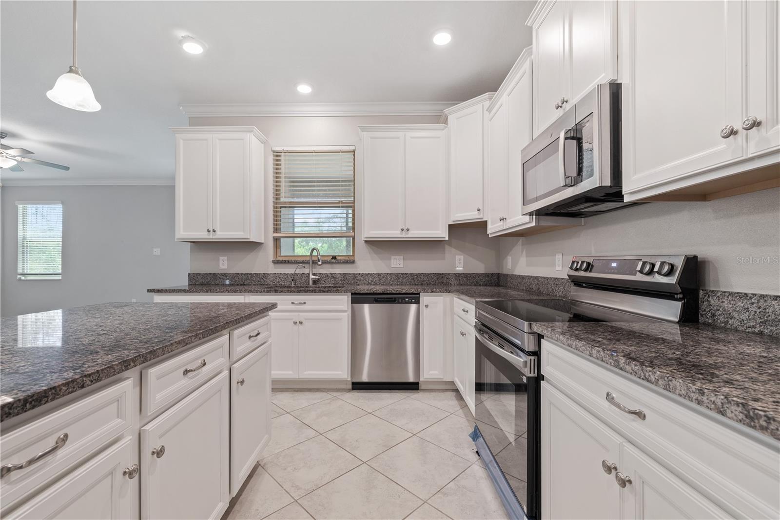 1295 WHITE FOX RUN, LUTZ, FL, 33549