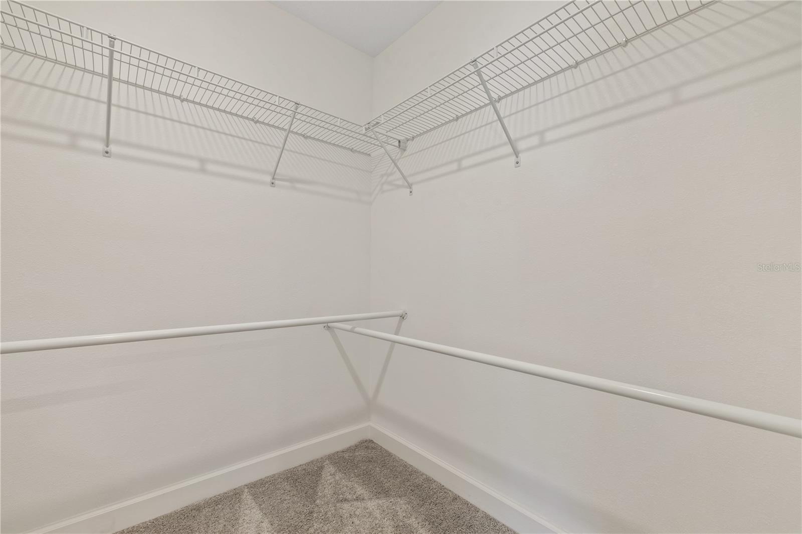 1295 WHITE FOX RUN, LUTZ, FL, 33549