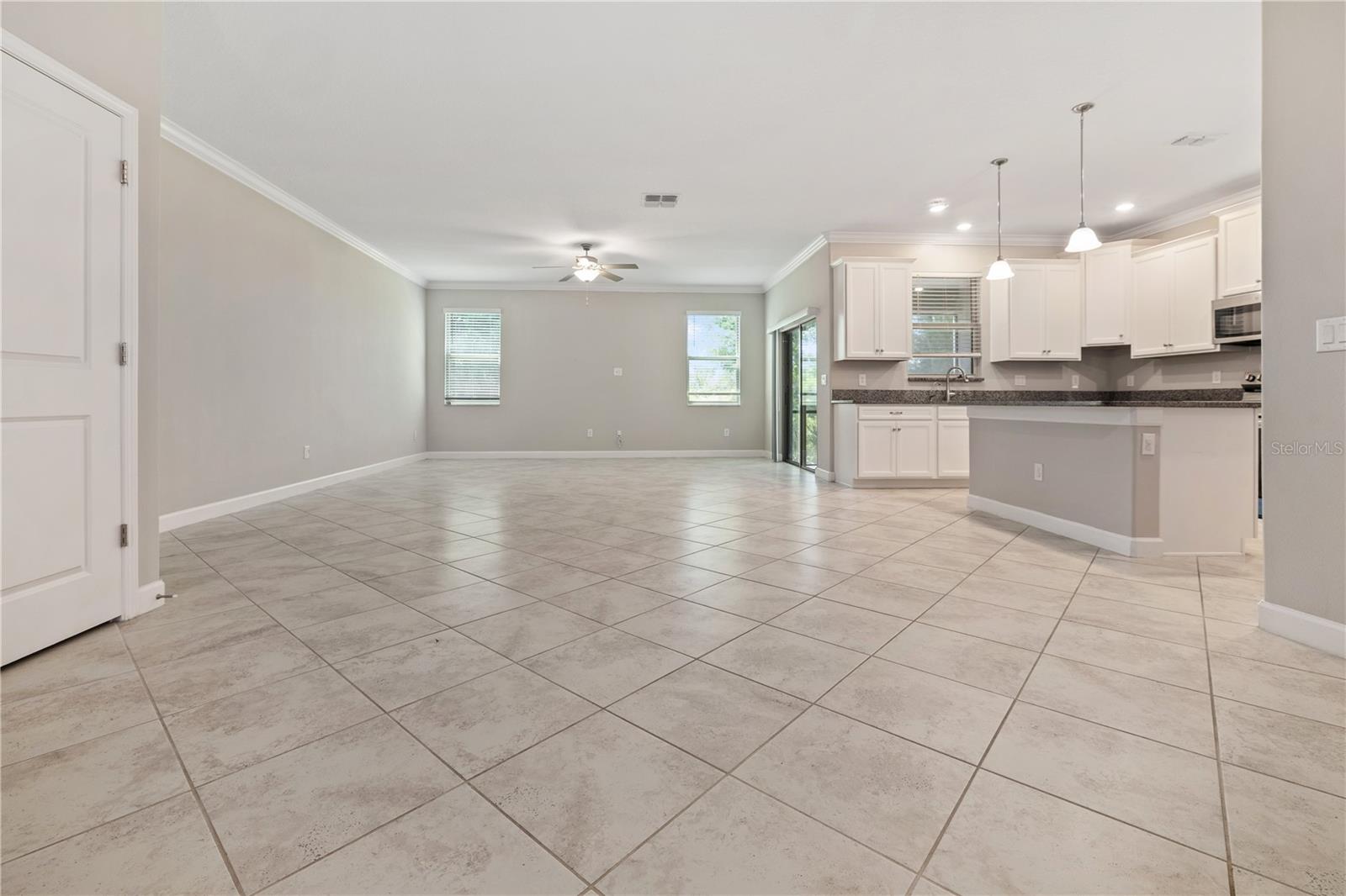 1295 WHITE FOX RUN, LUTZ, FL, 33549