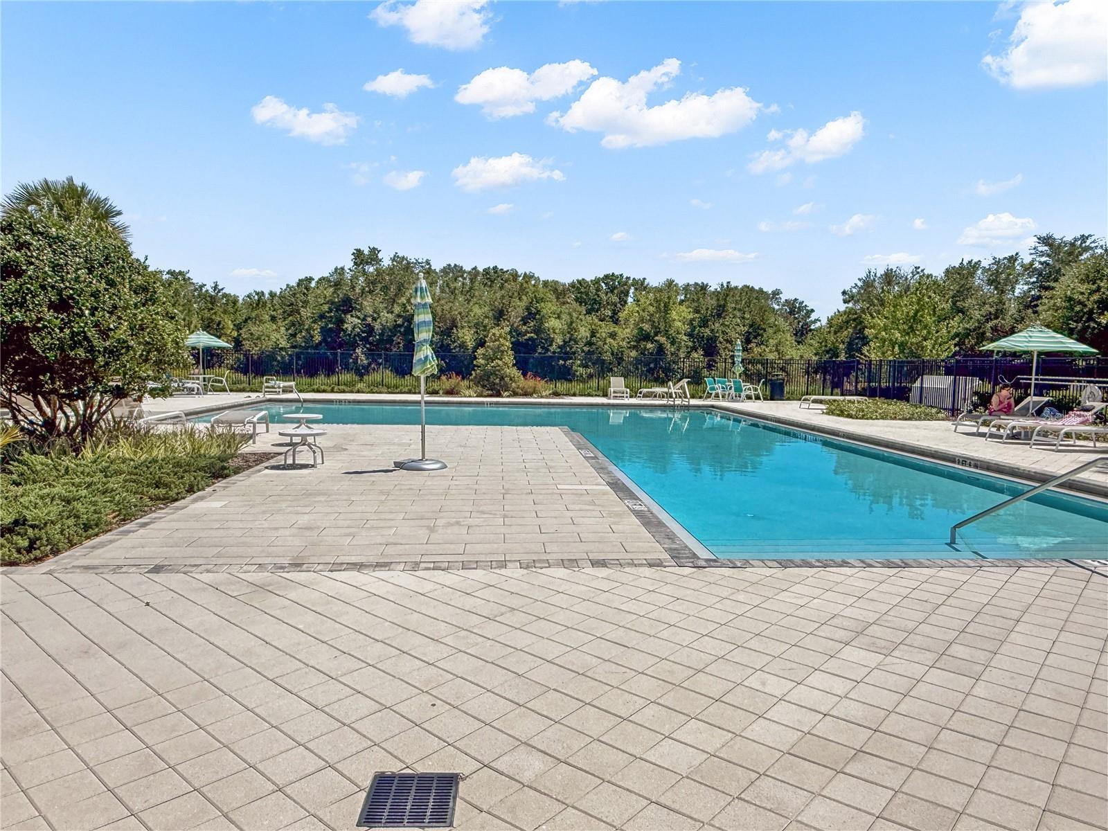 1295 WHITE FOX RUN, LUTZ, FL, 33549