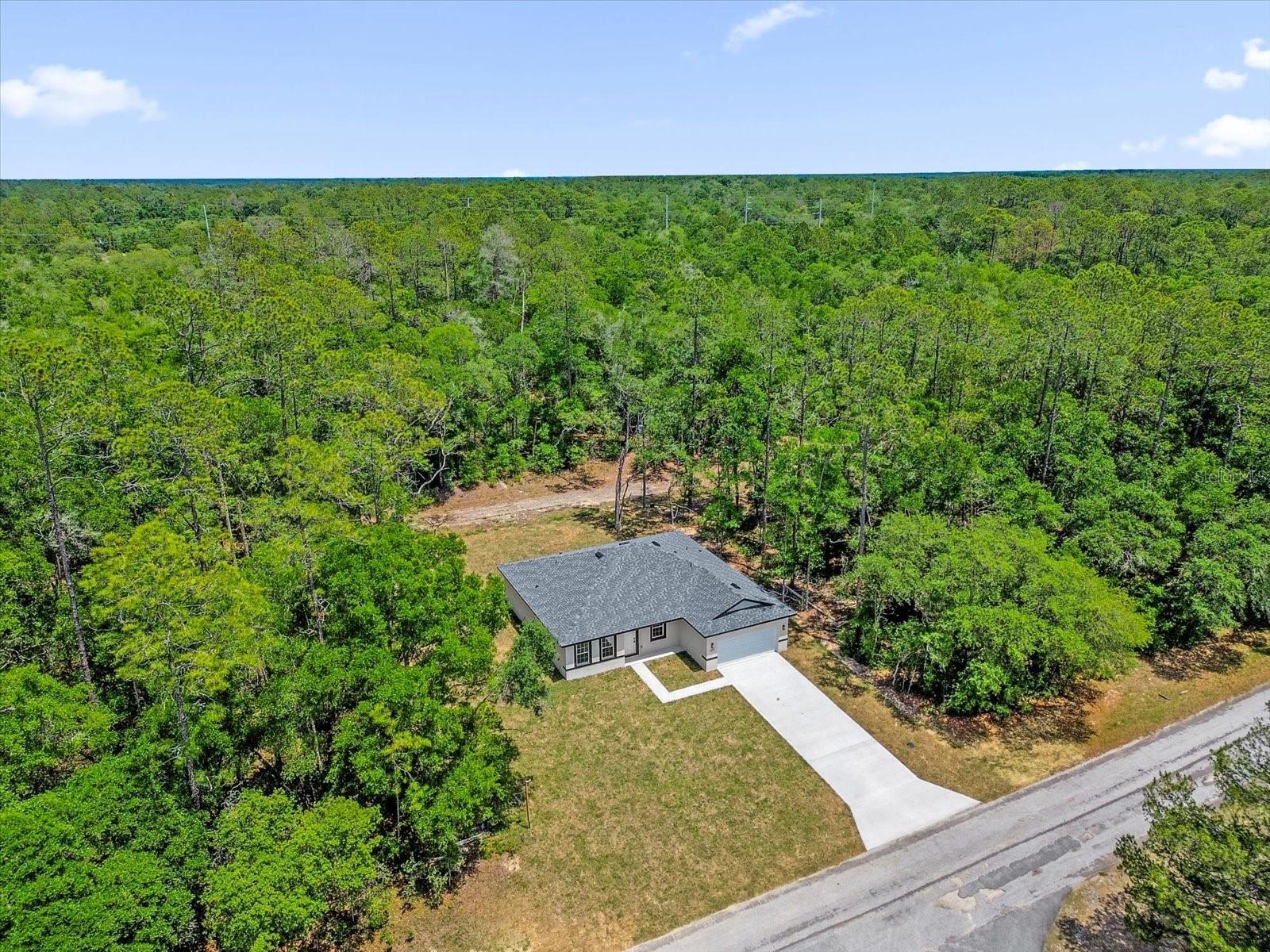 1377 W ALEXANDER DR, CITRUS SPRINGS, FL, 34434