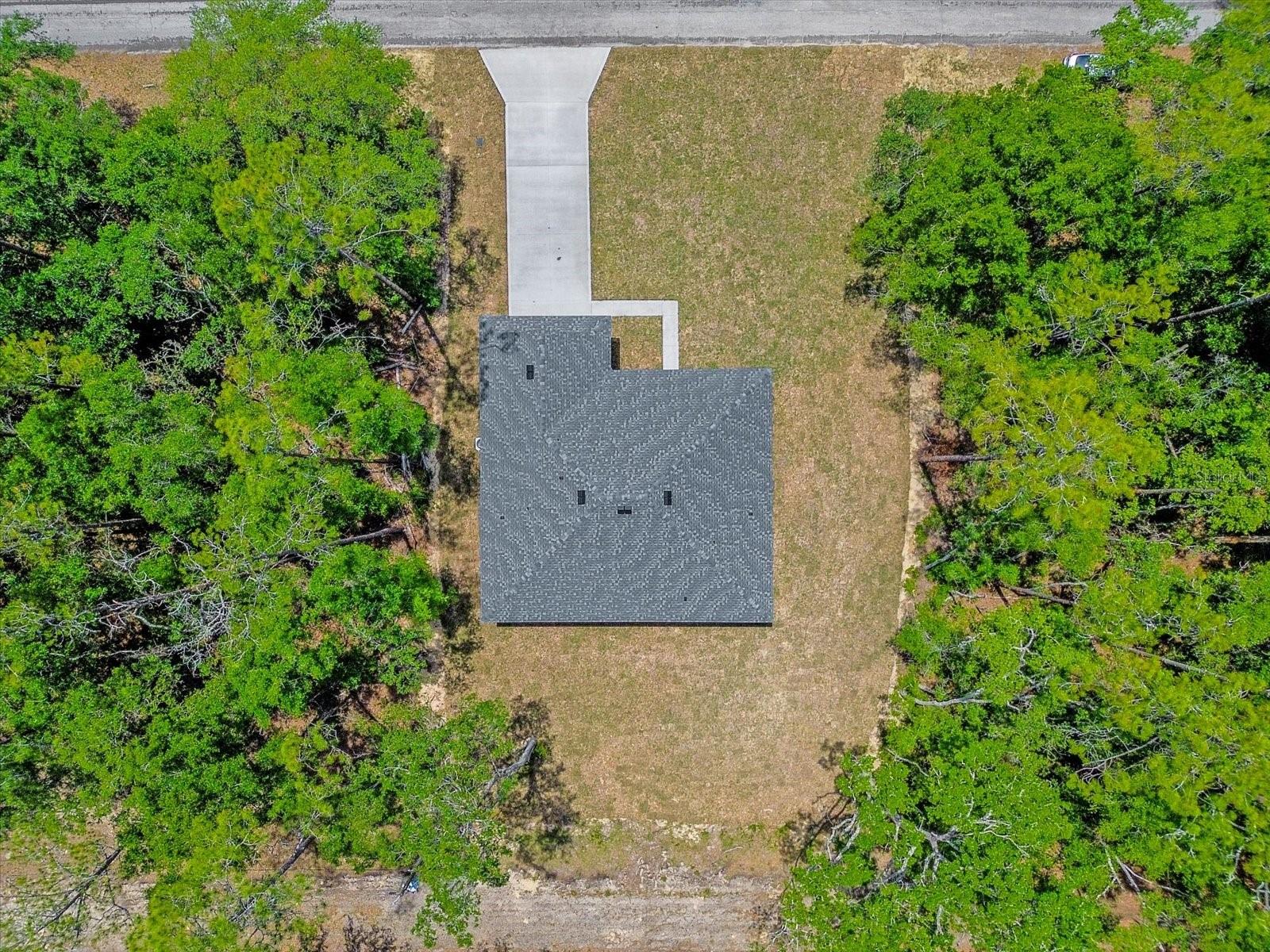 1377 W ALEXANDER DR, CITRUS SPRINGS, FL, 34434