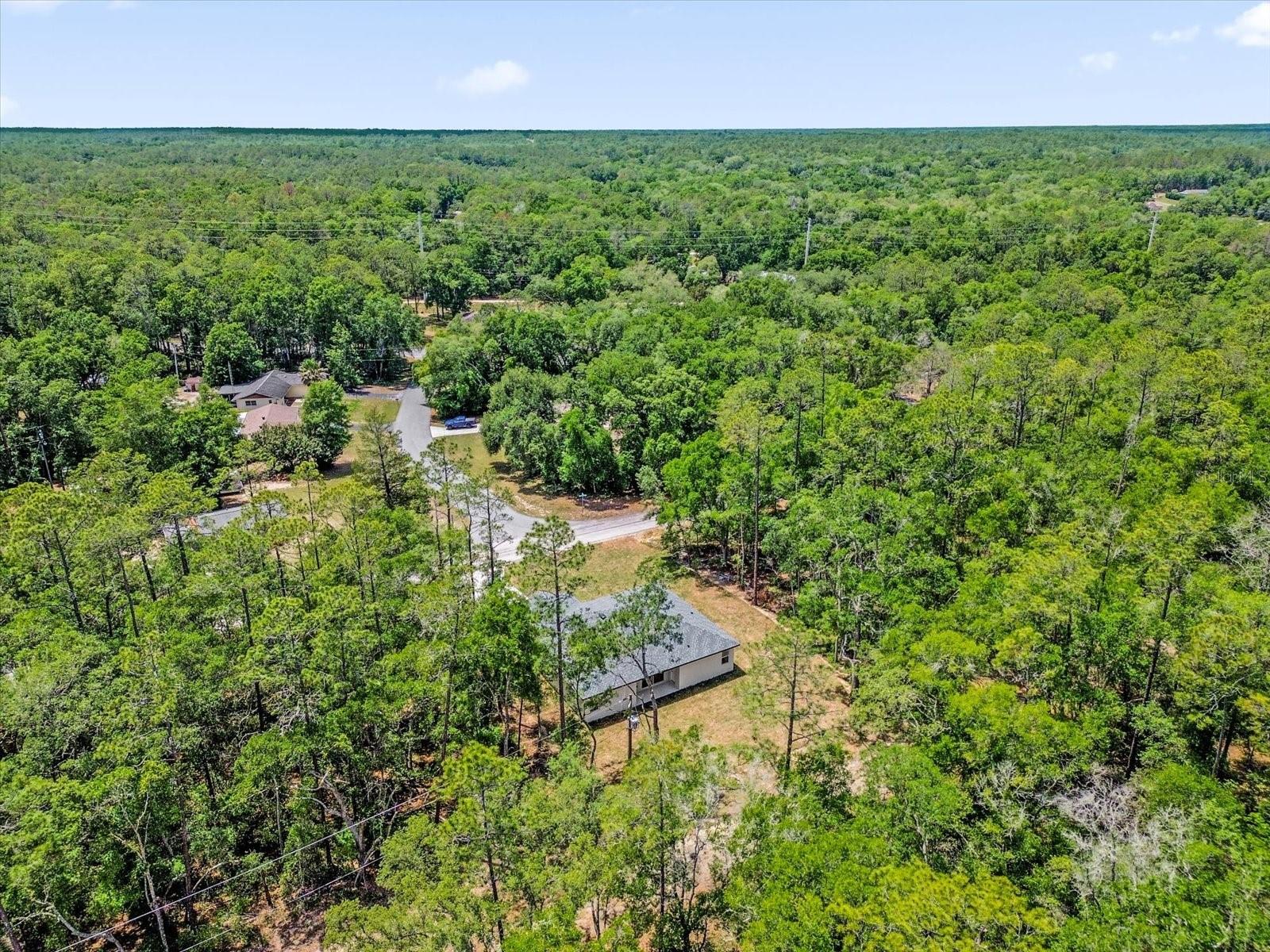 1377 W ALEXANDER DR, CITRUS SPRINGS, FL, 34434