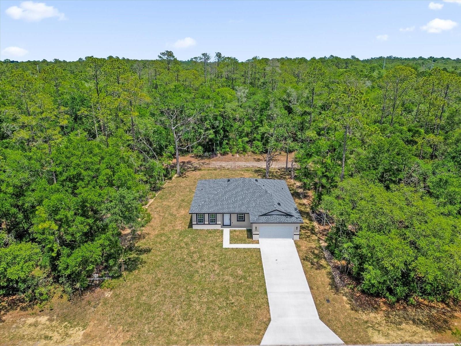 1377 W ALEXANDER DR, CITRUS SPRINGS, FL, 34434