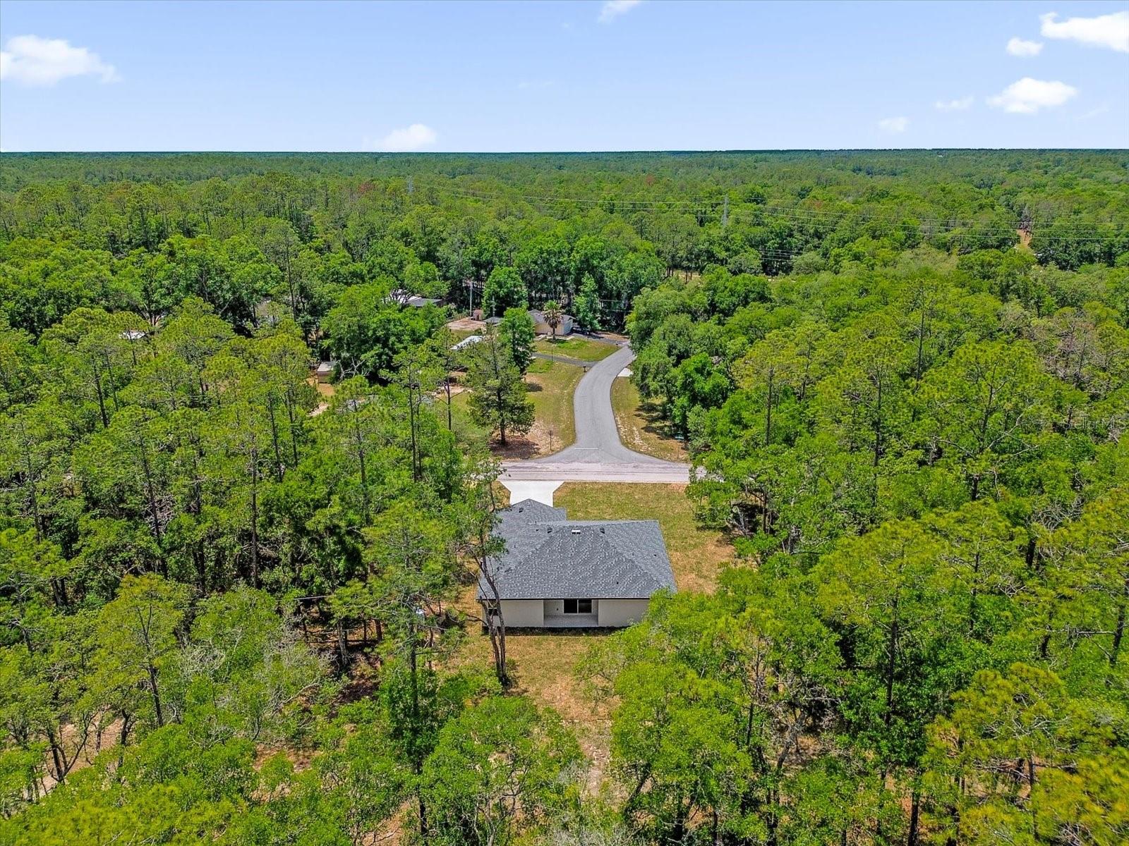 1377 W ALEXANDER DR, CITRUS SPRINGS, FL, 34434