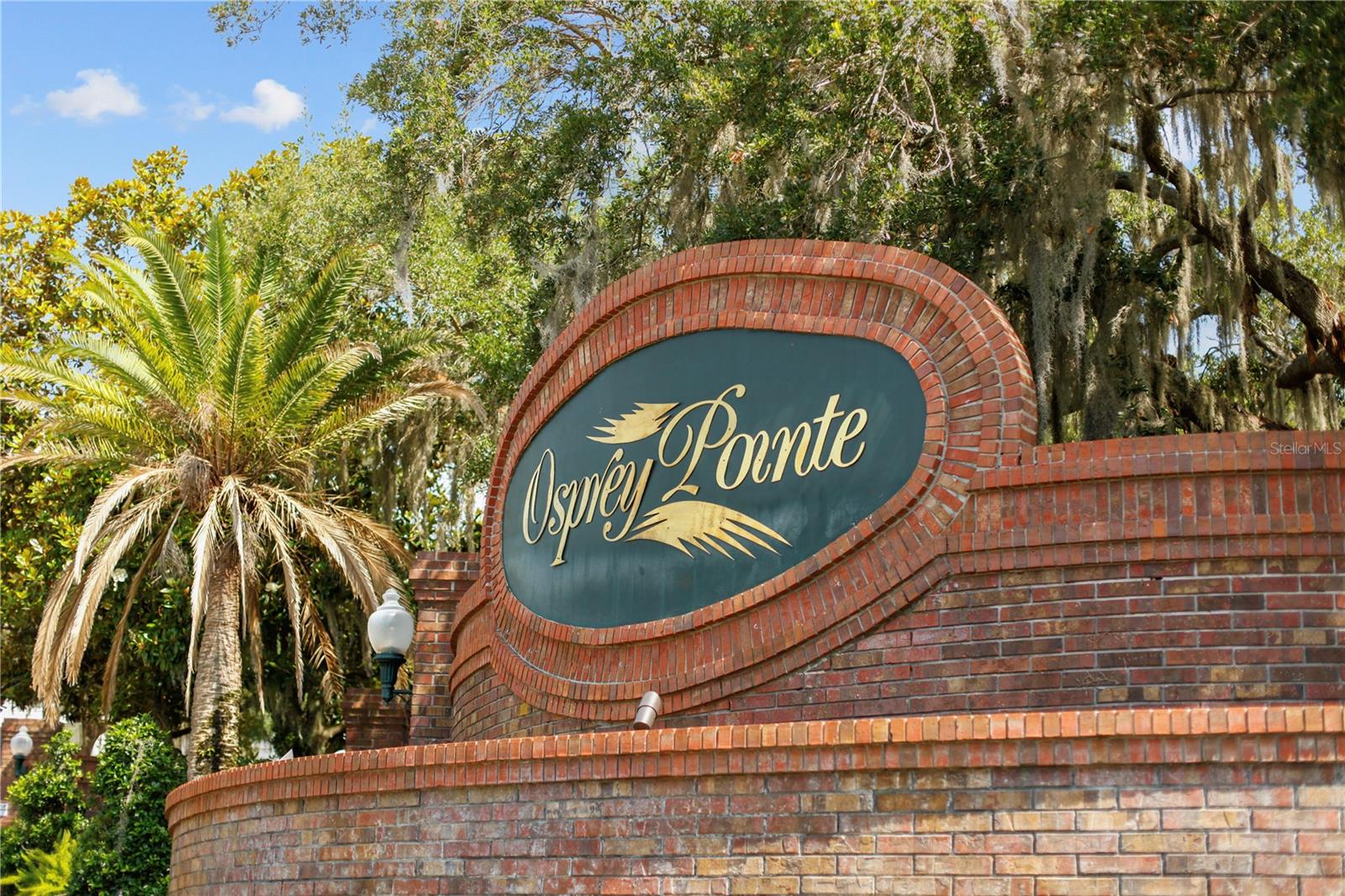 Lot 47 OSPREY POINTE BLVD, CLERMONT, FL, 34711