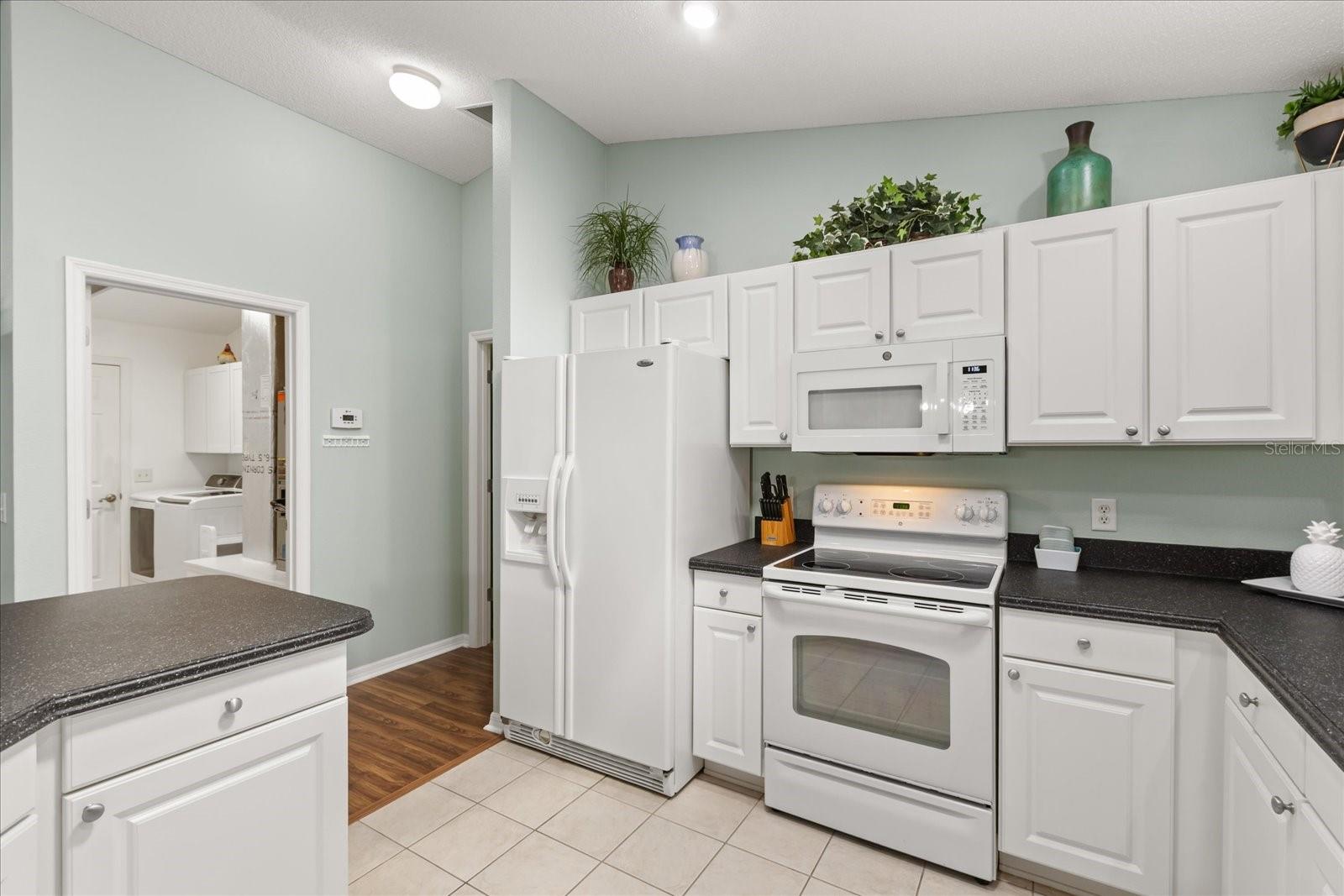 1561 TALLOWTREE DR, THE VILLAGES, FL, 32162