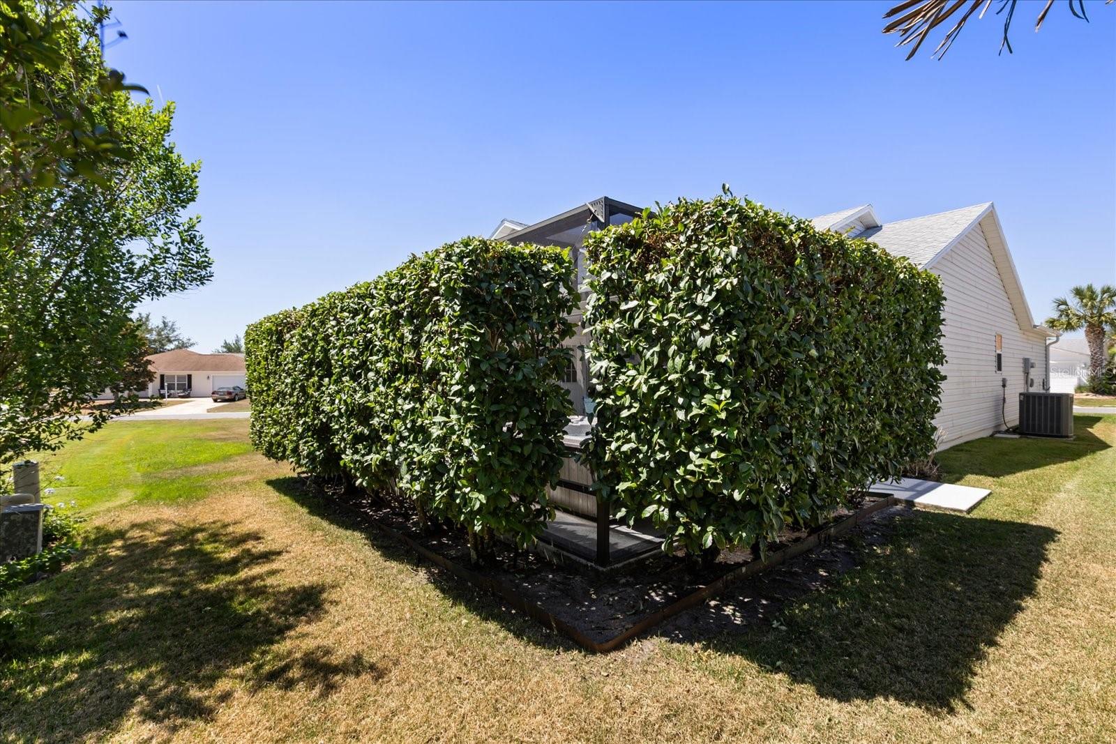 1561 TALLOWTREE DR, THE VILLAGES, FL, 32162