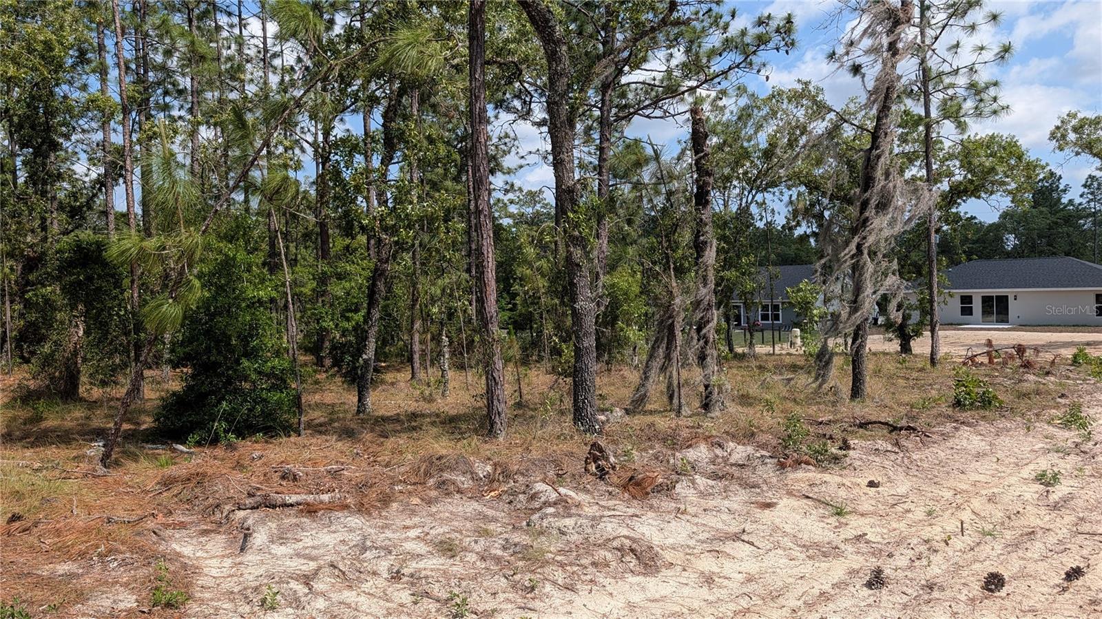 lot 32 NW HEMLOCK AVE, DUNNELLON, FL, 34431