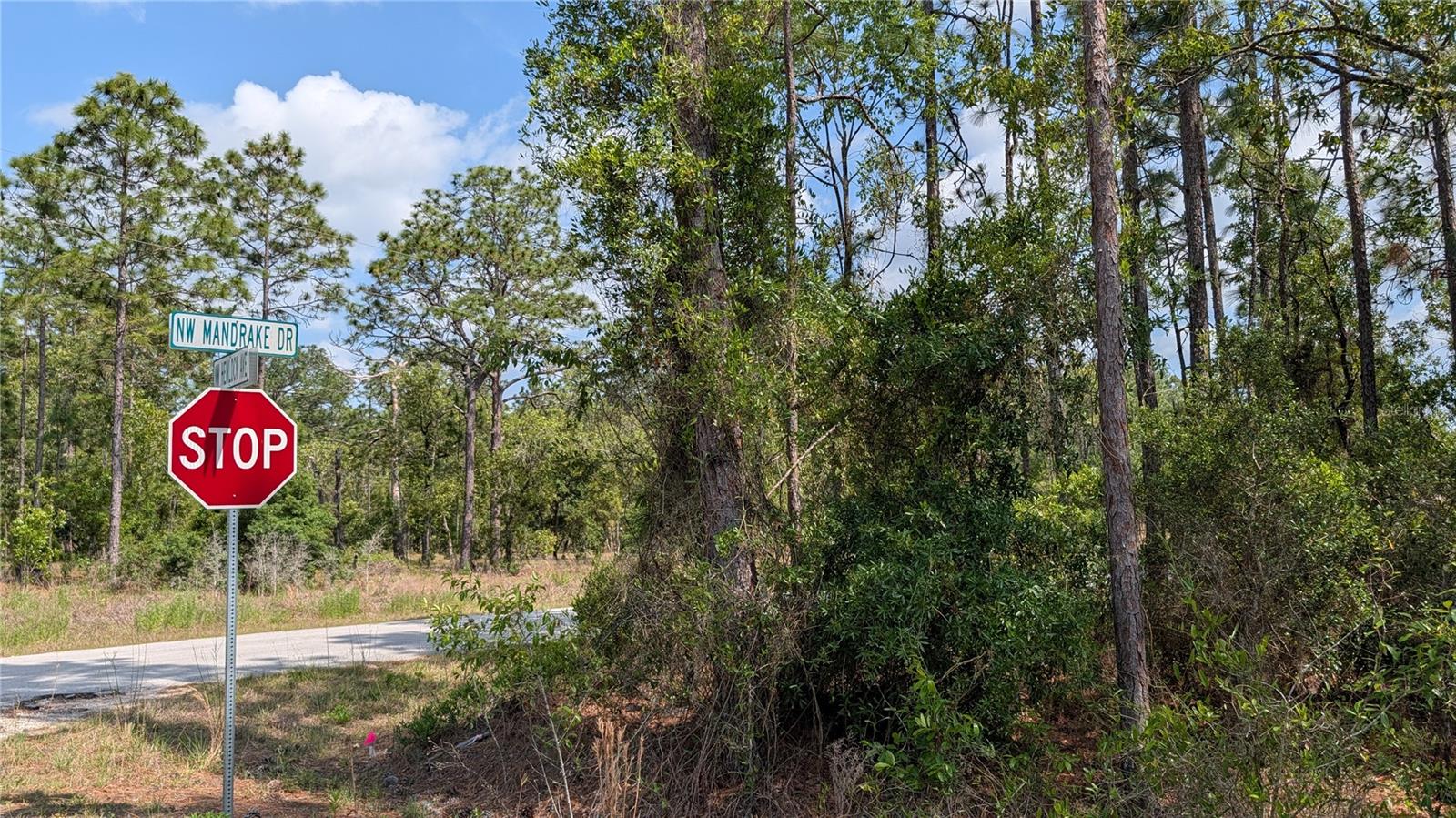 lot 32 NW HEMLOCK AVE, DUNNELLON, FL, 34431