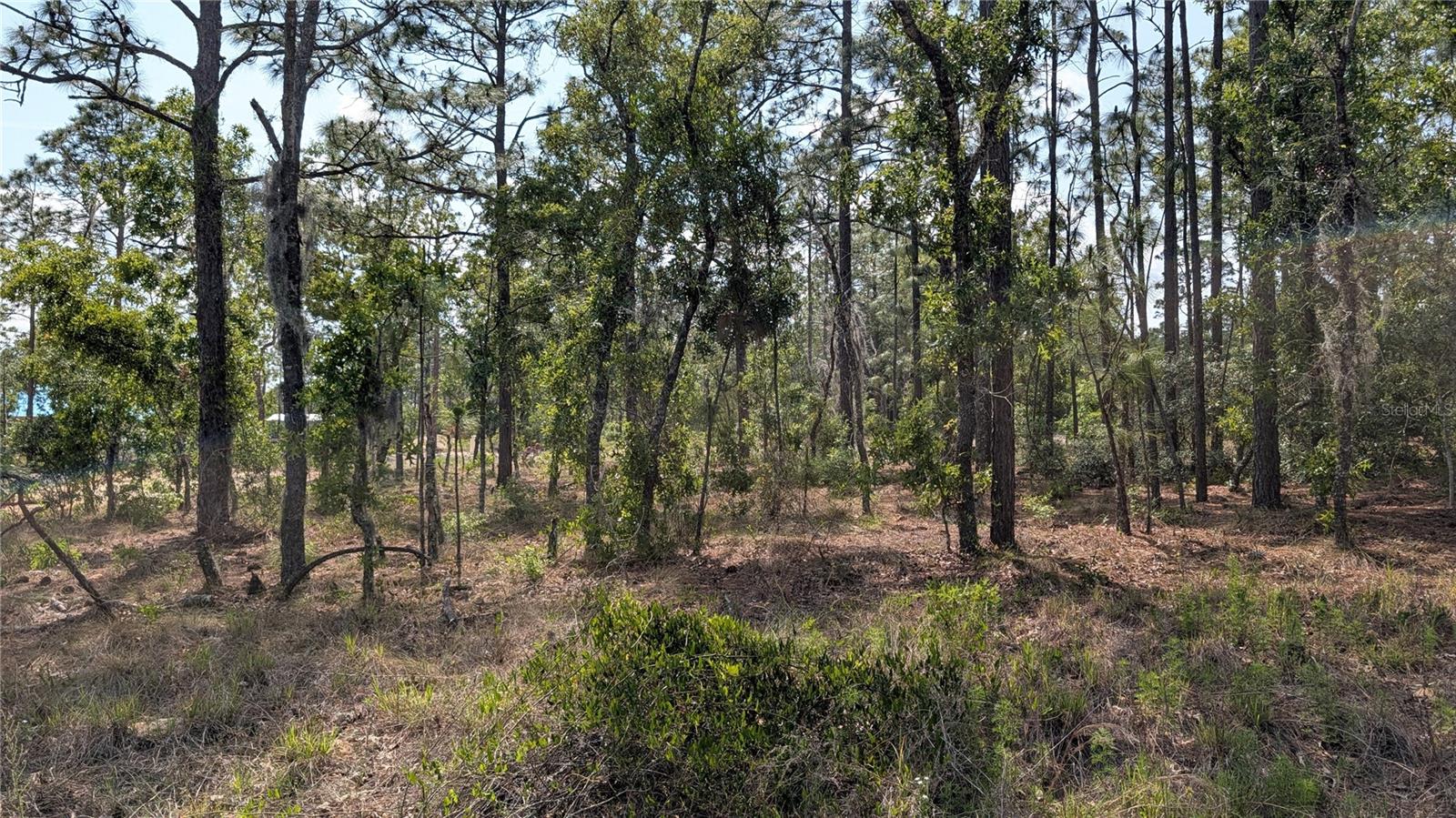 lot 32 NW HEMLOCK AVE, DUNNELLON, FL, 34431