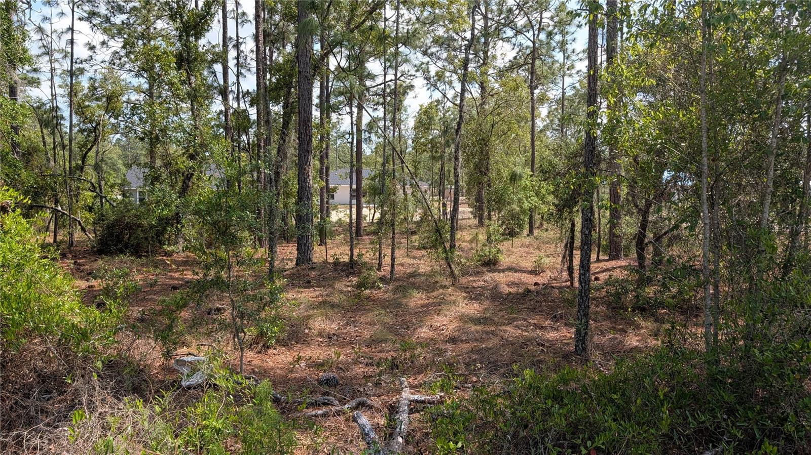 lot 32 NW HEMLOCK AVE, DUNNELLON, FL, 34431