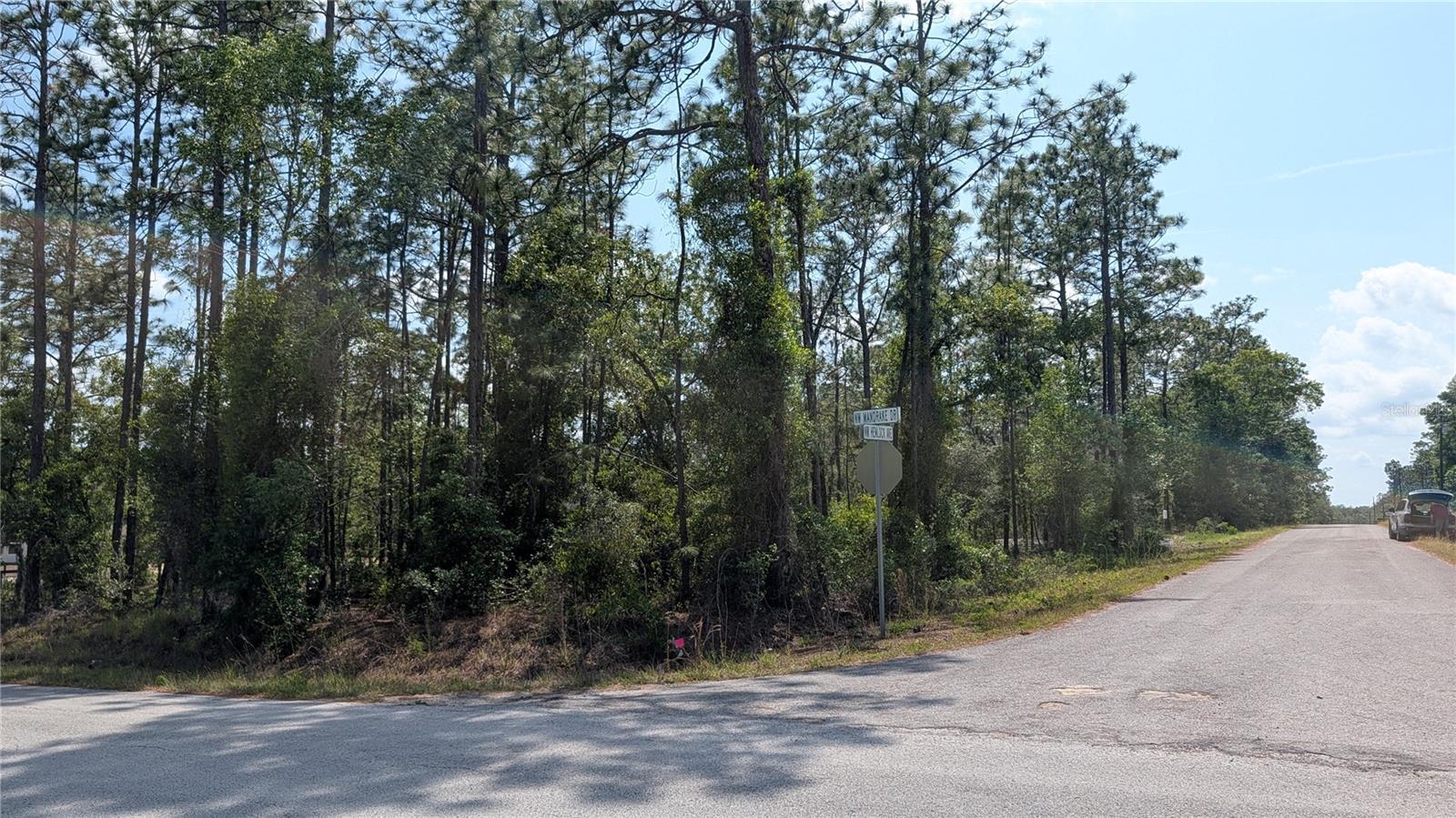 lot 32 NW HEMLOCK AVE, DUNNELLON, FL, 34431