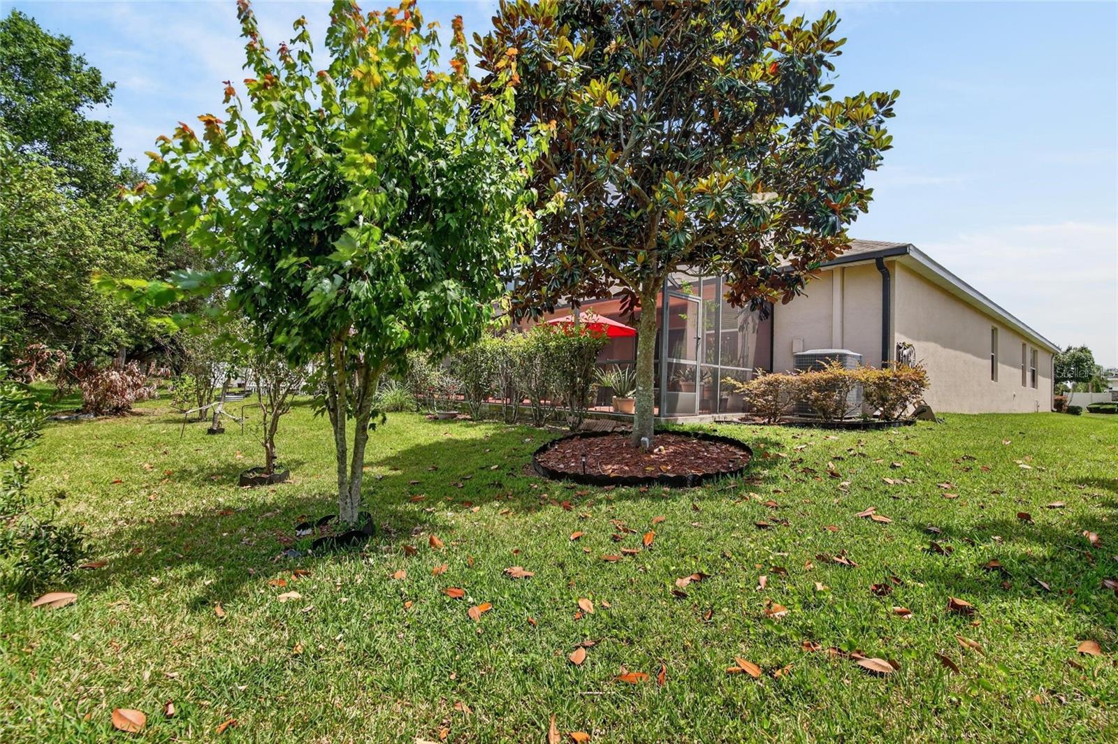10232 HOLLAND RD, RIVERVIEW, FL, 33578