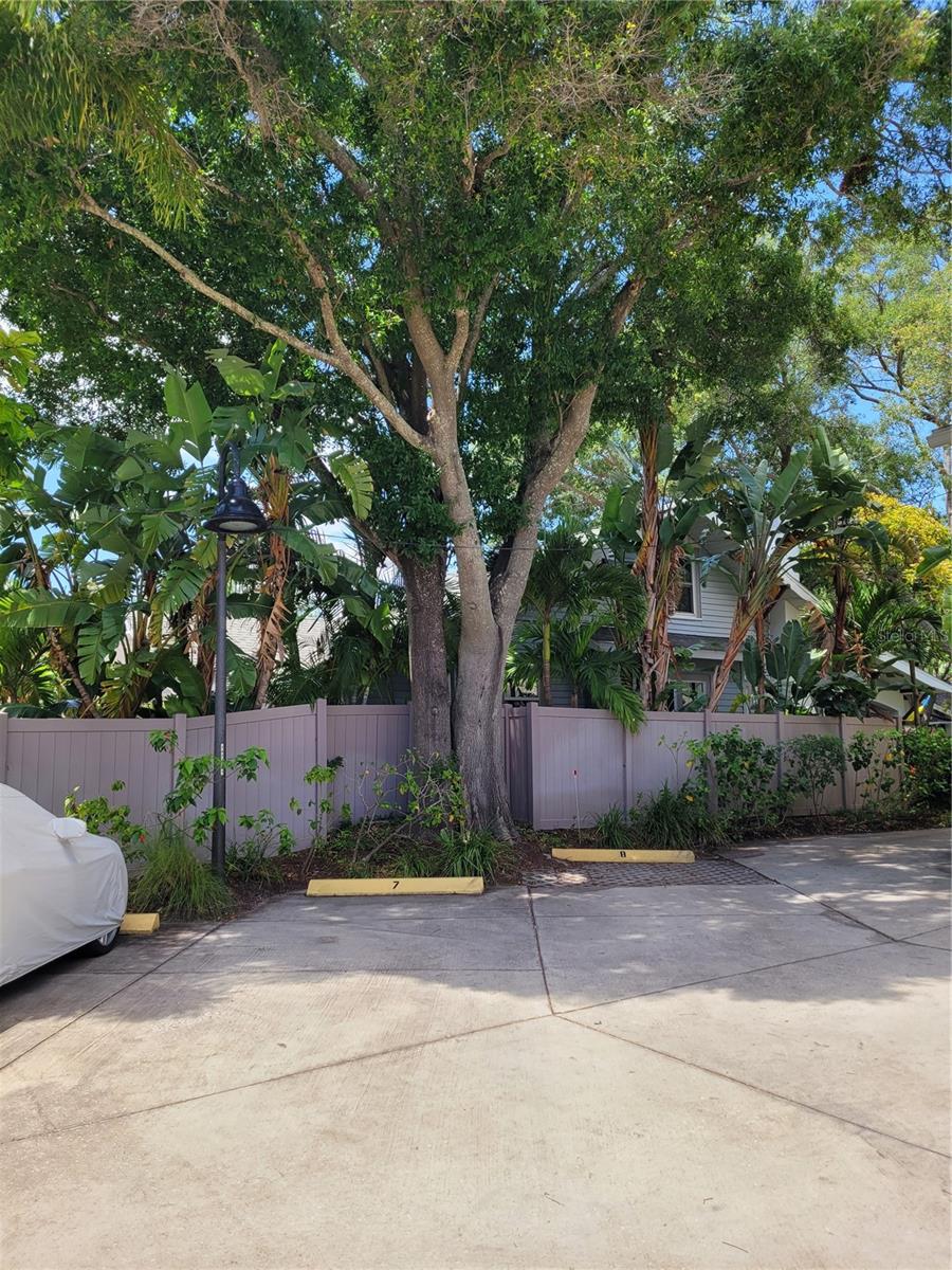 260 15TH AVE NE #NA, ST PETERSBURG, FL, 33704