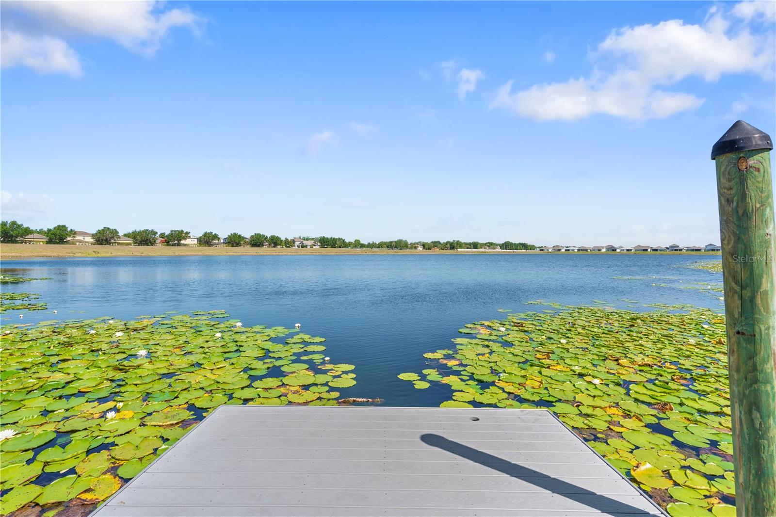 11411 CHILLY WATER CT, RIVERVIEW, FL, 33569