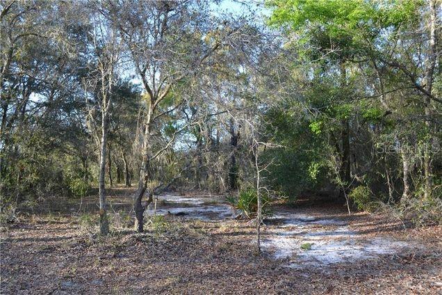 GRANDVILLE, HUDSON, FL, 34669