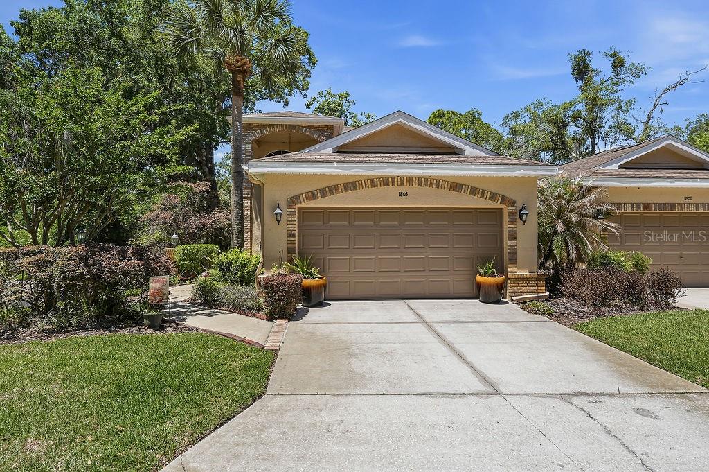 1803 PRESERVATION DR, PLANT CITY, FL, 33566
