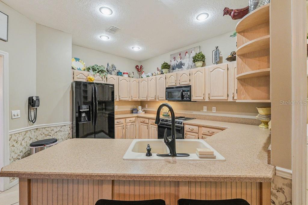 1803 PRESERVATION DR, PLANT CITY, FL, 33566