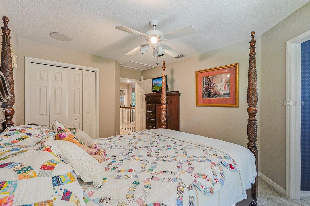 1803 PRESERVATION DR, PLANT CITY, FL, 33566