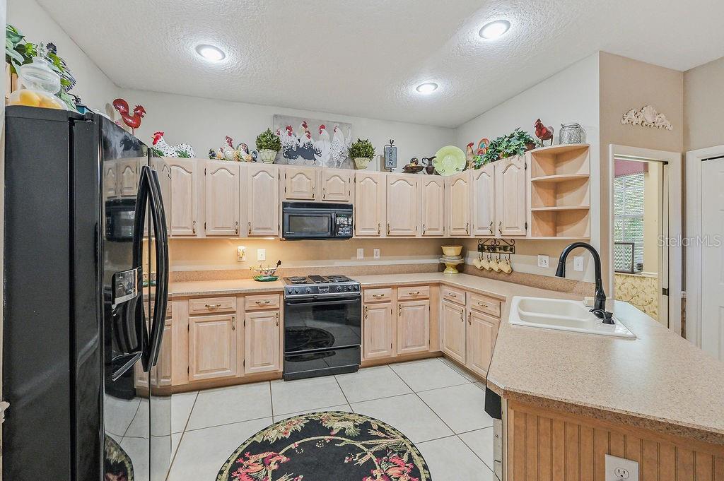 1803 PRESERVATION DR, PLANT CITY, FL, 33566
