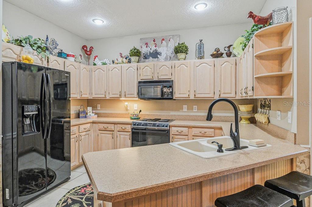 1803 PRESERVATION DR, PLANT CITY, FL, 33566