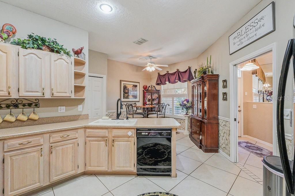 1803 PRESERVATION DR, PLANT CITY, FL, 33566