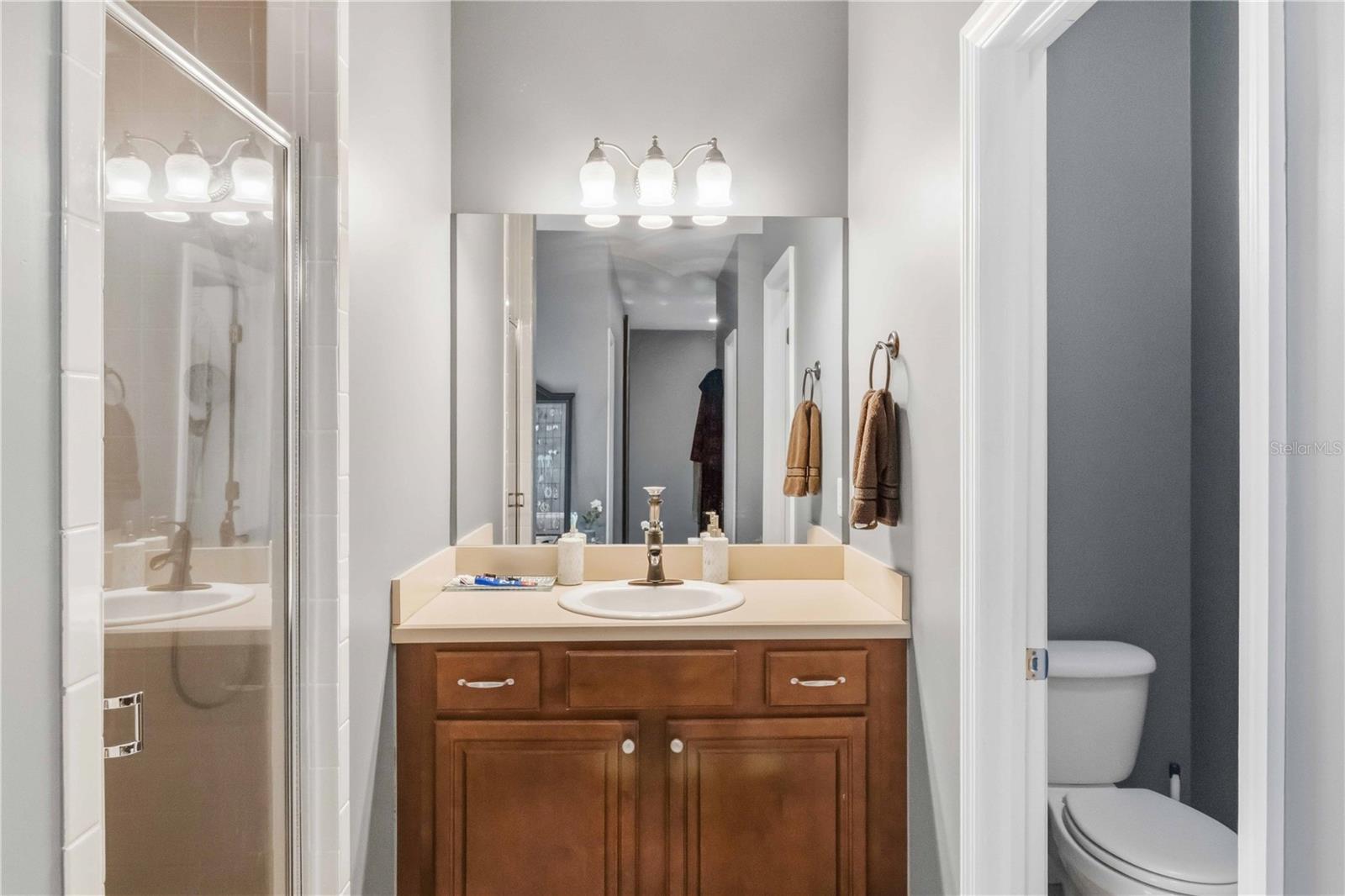 2313 HOLDEN LN, LITHIA, FL, 33547