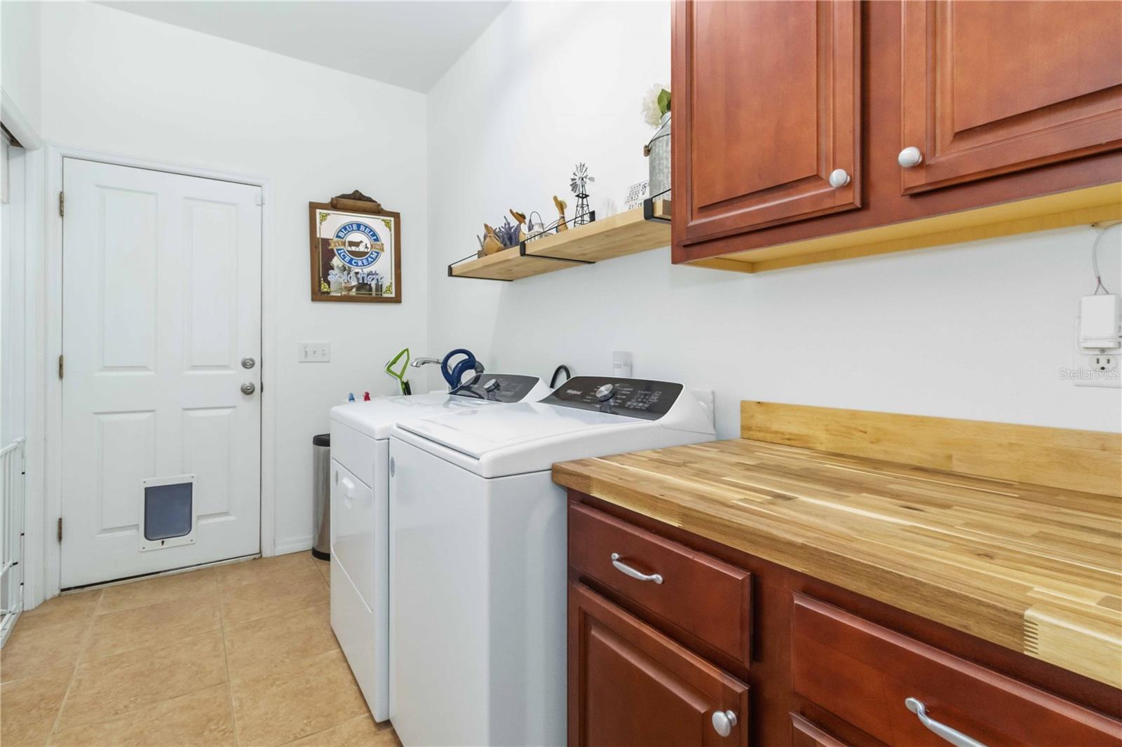 2313 HOLDEN LN, LITHIA, FL, 33547