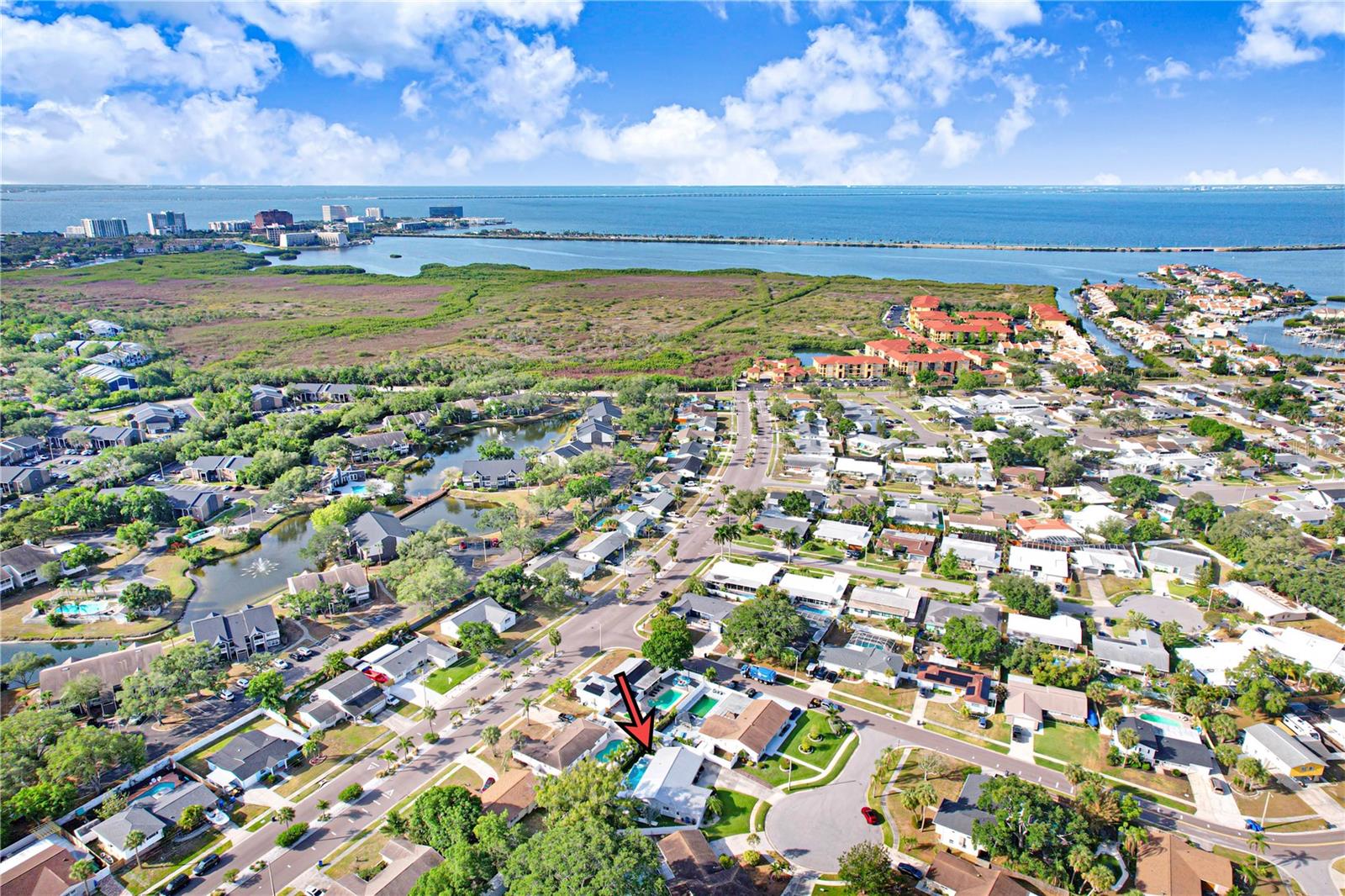 8404 BLACKSTONE CT, TAMPA, FL, 33615