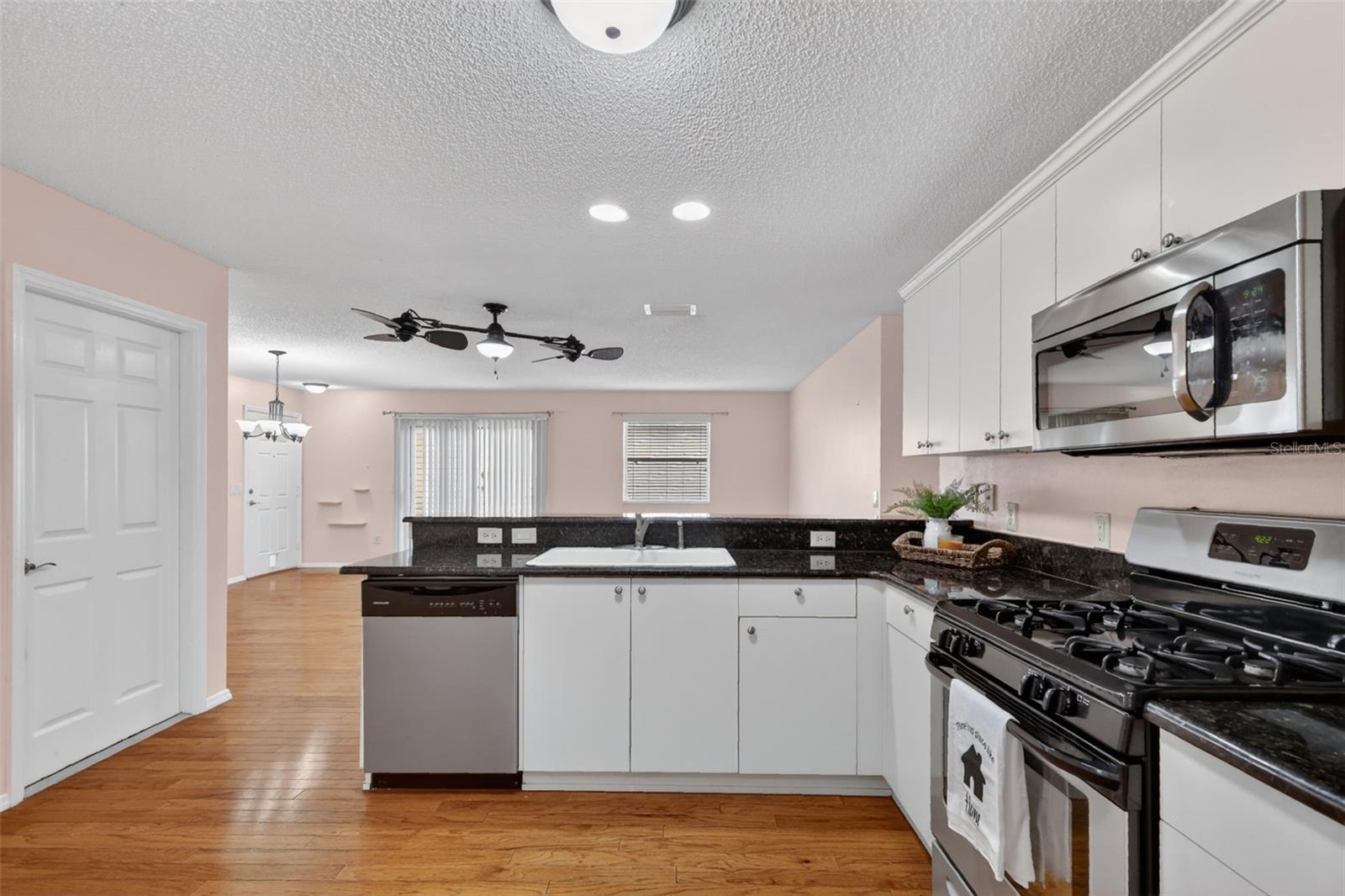 17457 SE 81ST NEWBERRY CT, THE VILLAGES, FL, 32162