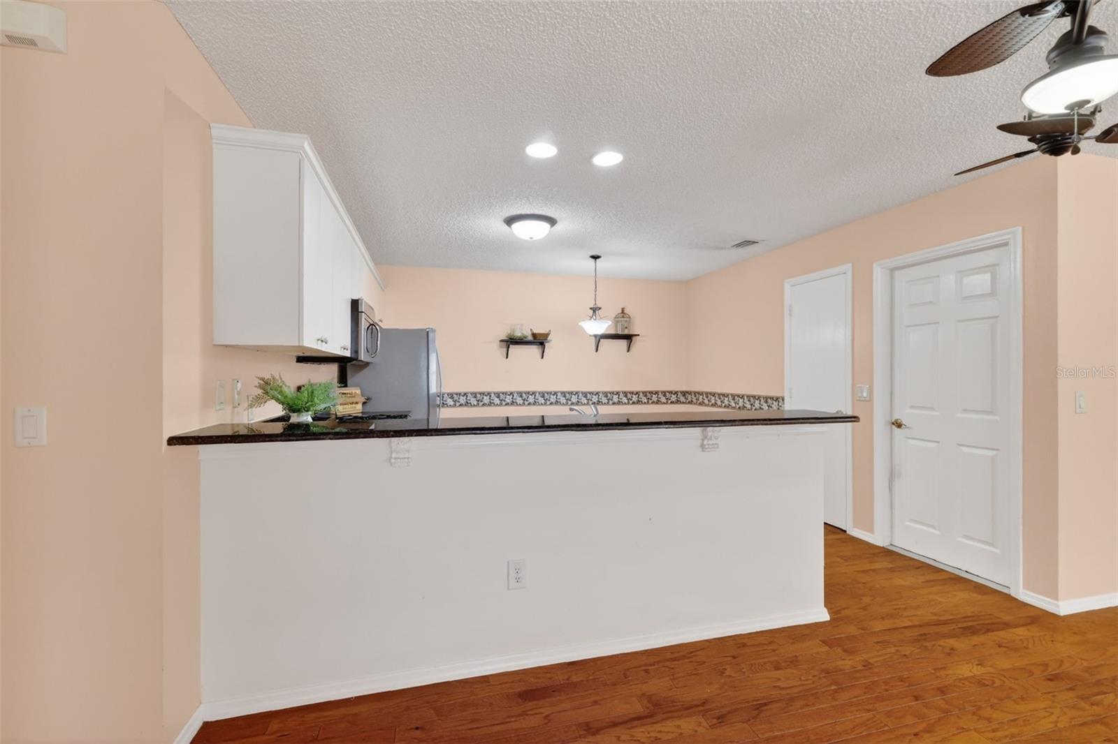 17457 SE 81ST NEWBERRY CT, THE VILLAGES, FL, 32162