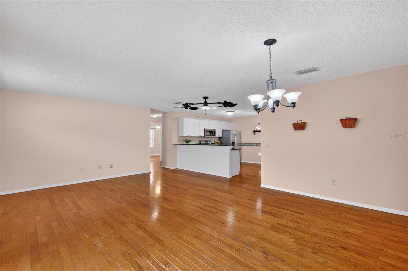 17457 SE 81ST NEWBERRY CT, THE VILLAGES, FL, 32162