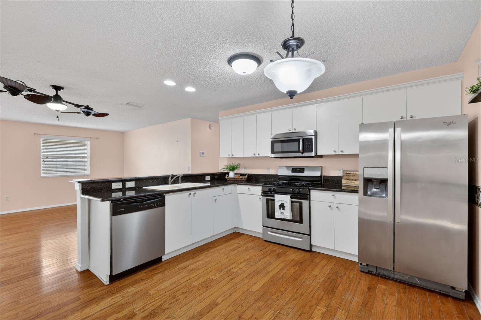 17457 SE 81ST NEWBERRY CT, THE VILLAGES, FL, 32162