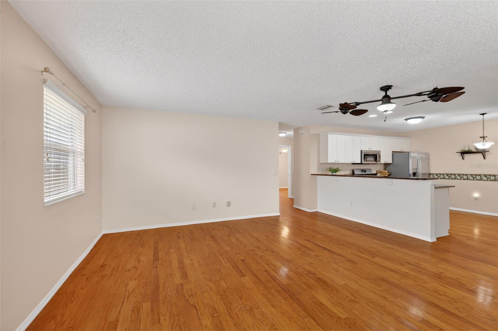 17457 SE 81ST NEWBERRY CT, THE VILLAGES, FL, 32162